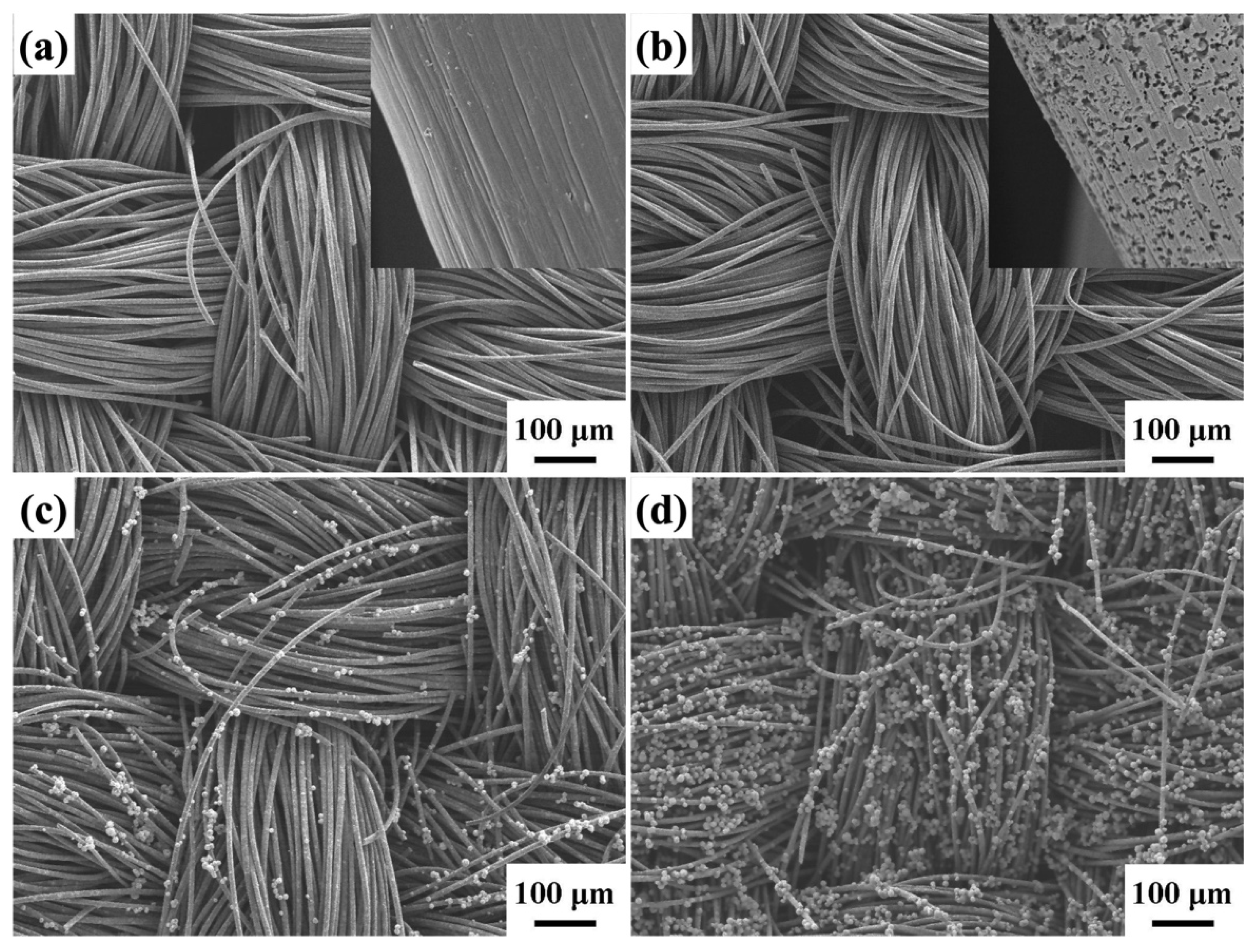 Molecules 29 04054 g002