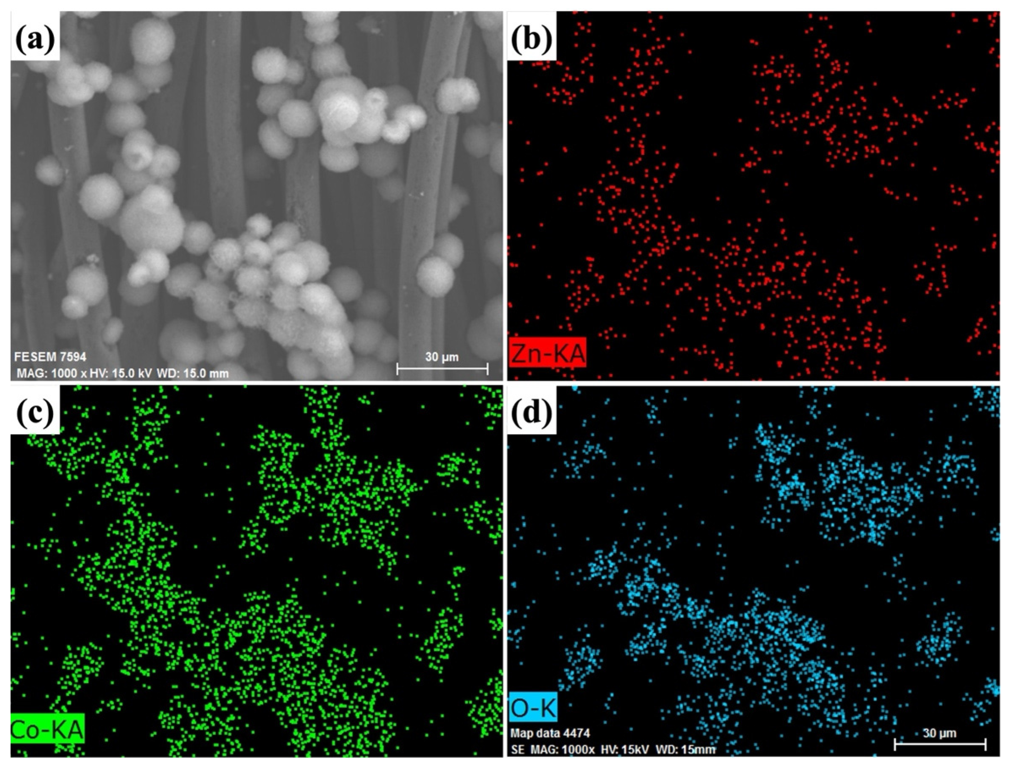 Molecules 29 04054 g003