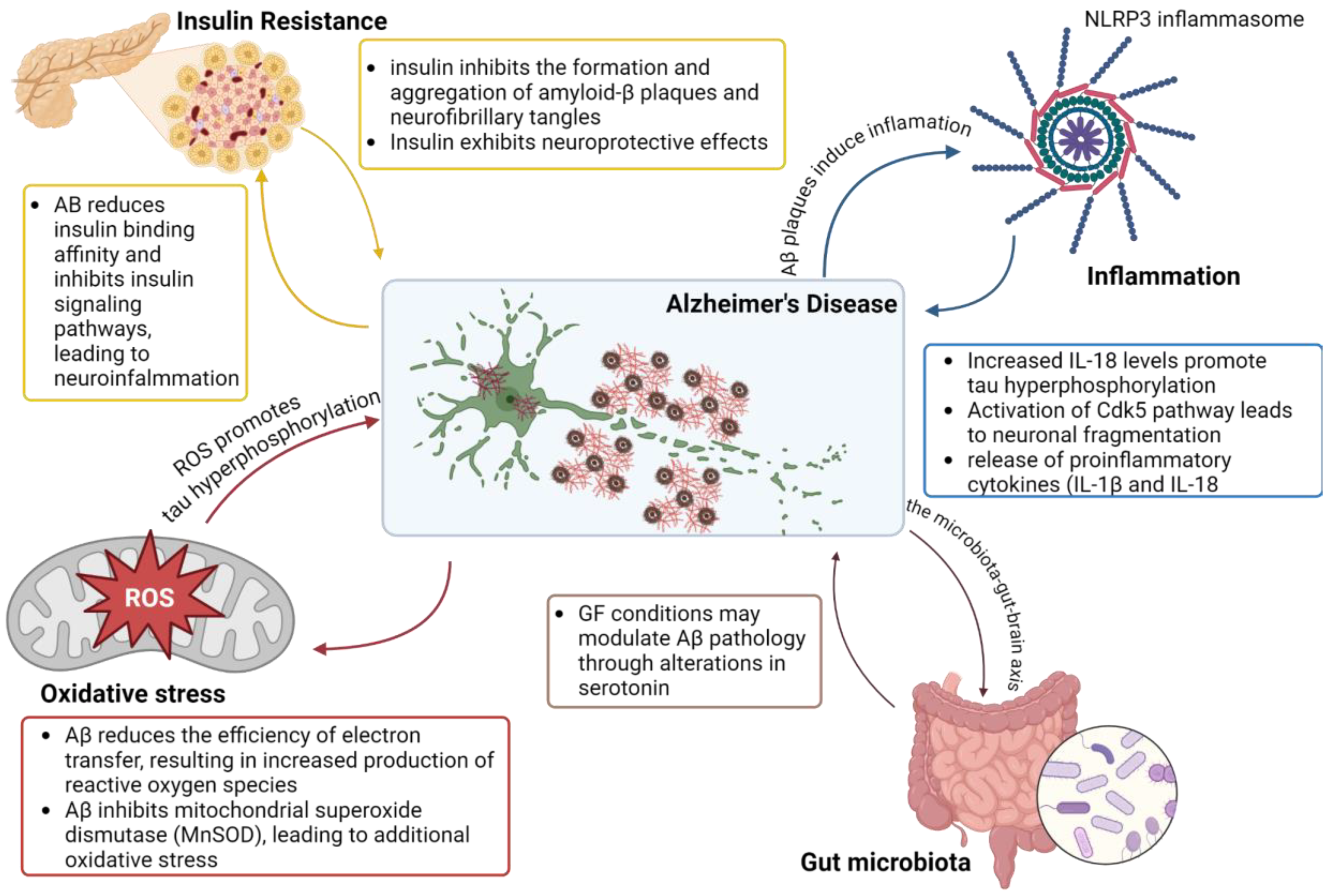 Molecules 29 04056 g001