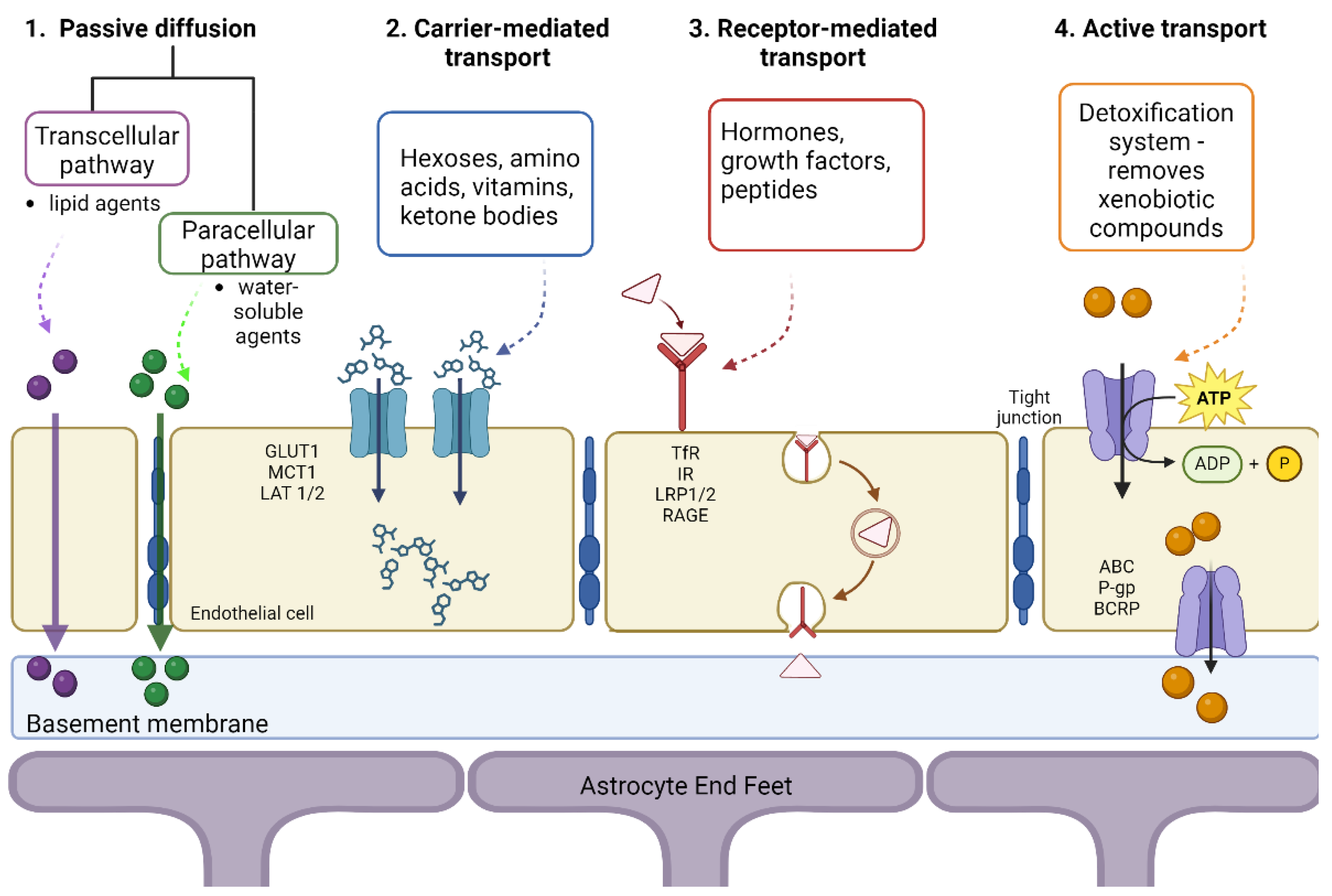 Molecules 29 04056 g003