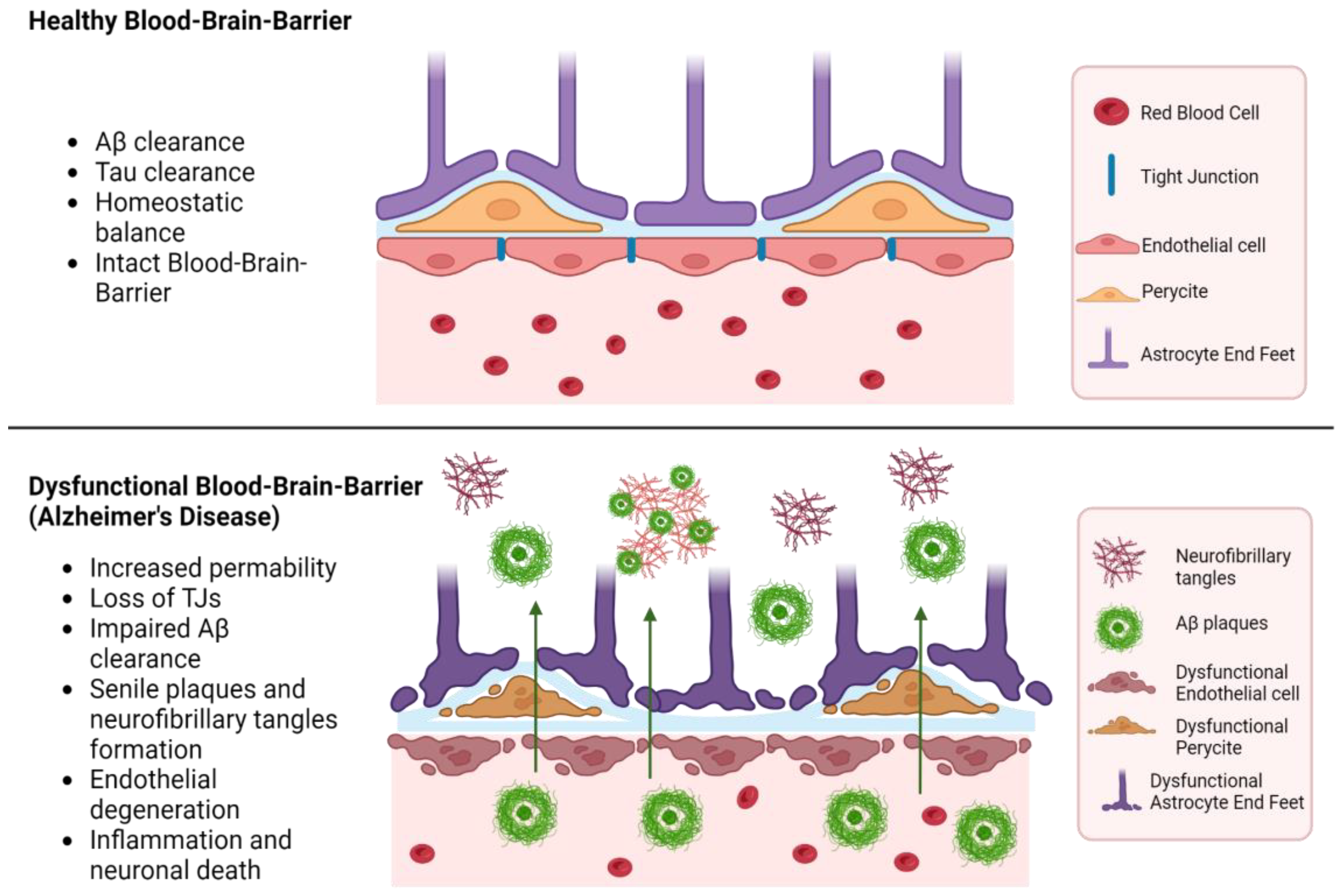 Molecules 29 04056 g004