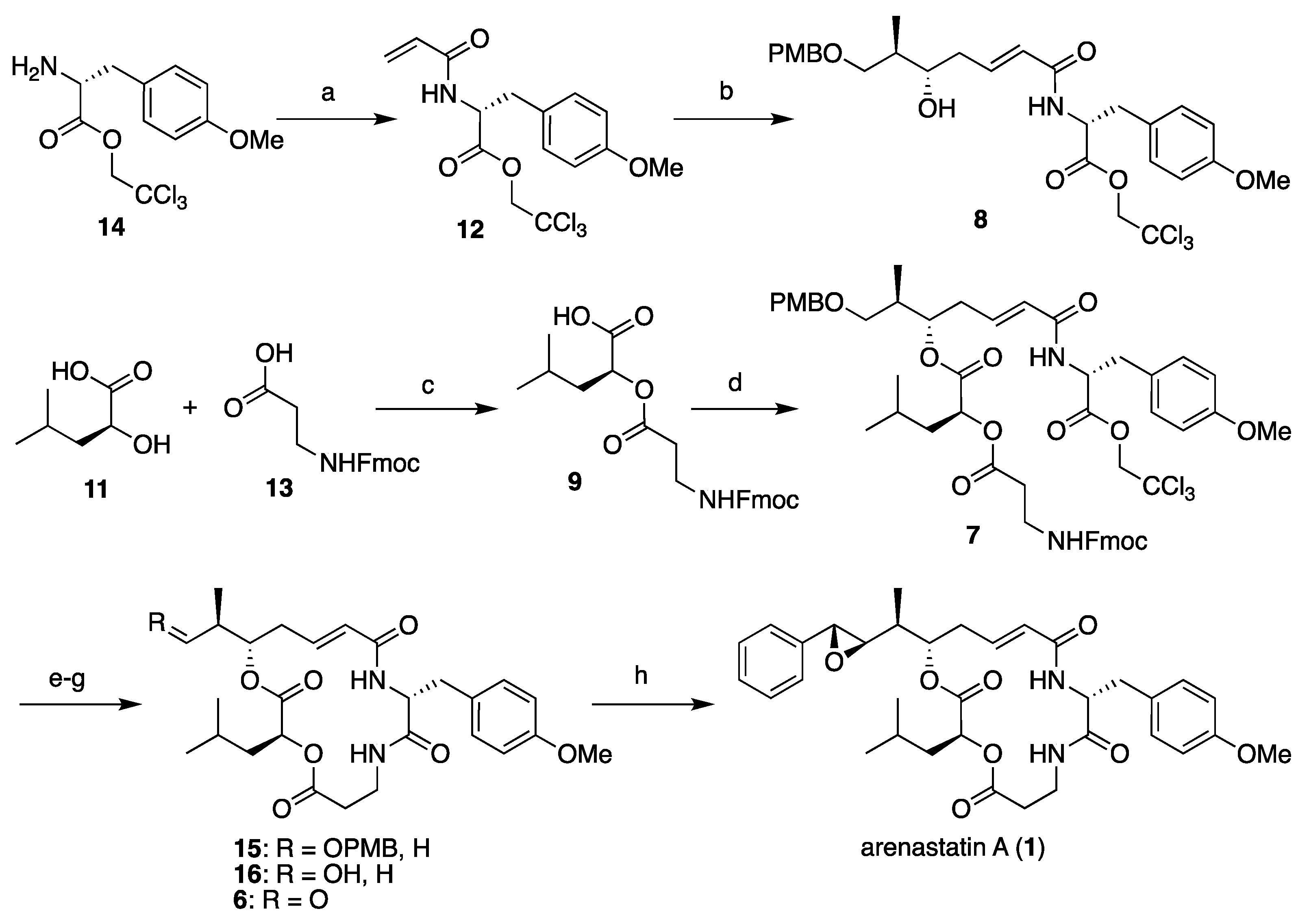 Molecules 29 04058 sch001