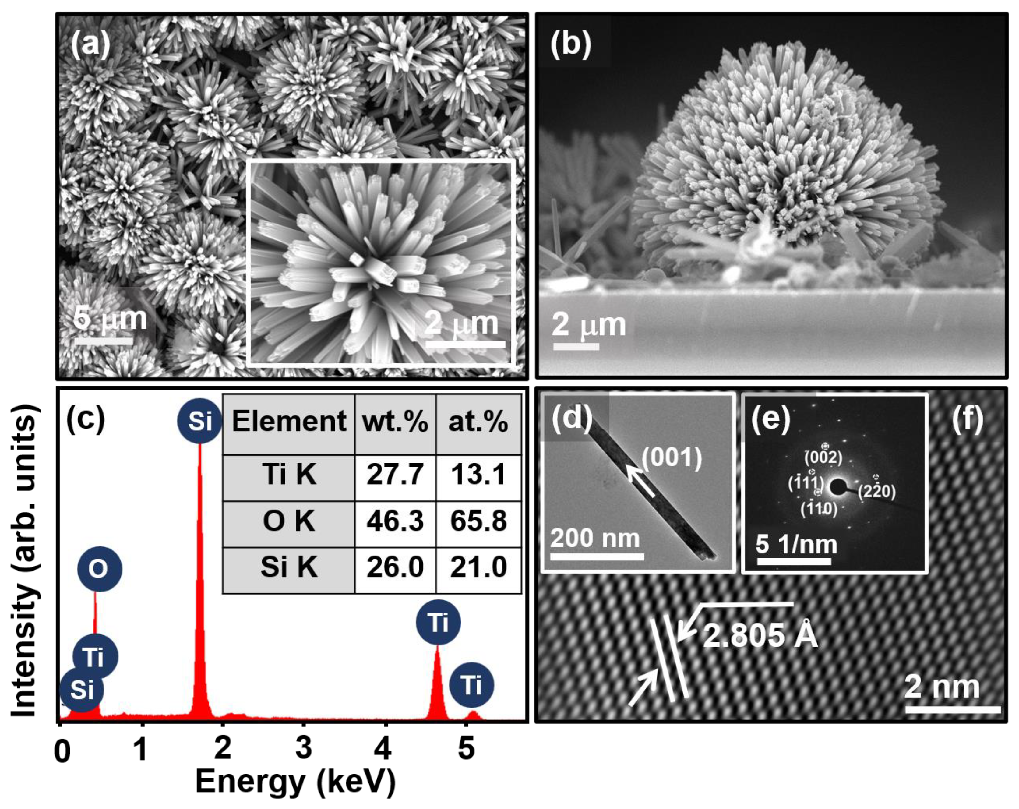 Molecules 29 04063 g001
