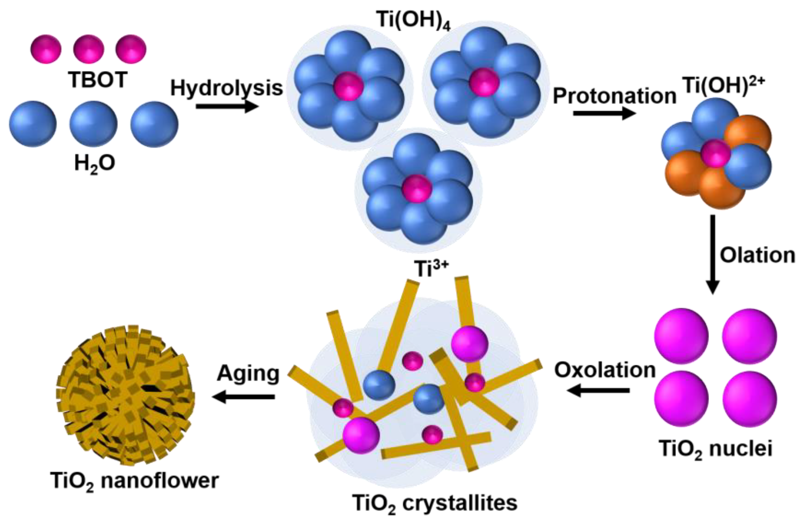 Molecules 29 04063 g003
