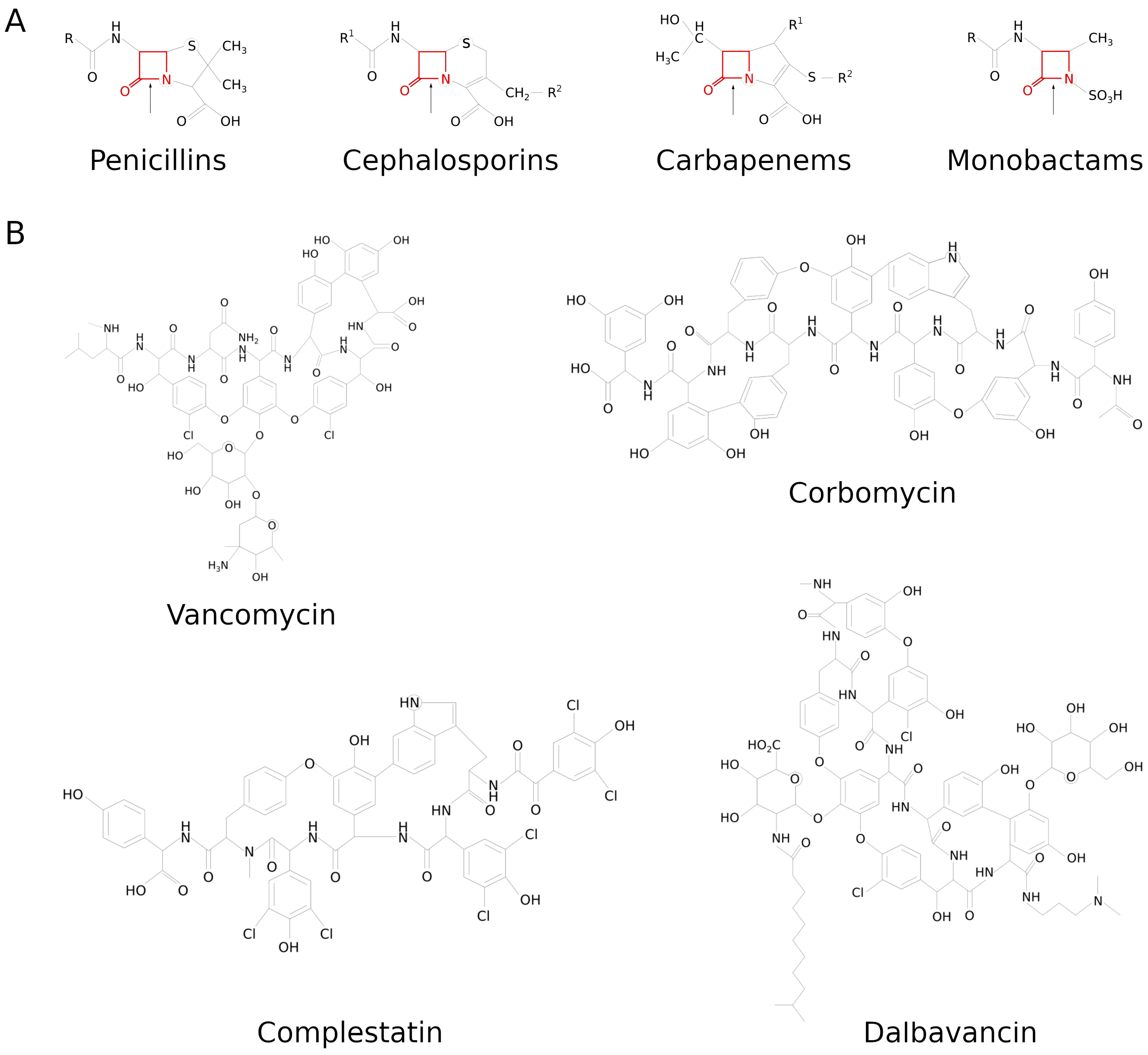 Molecules 29 04065 g003 Molecules 29 04065 g003