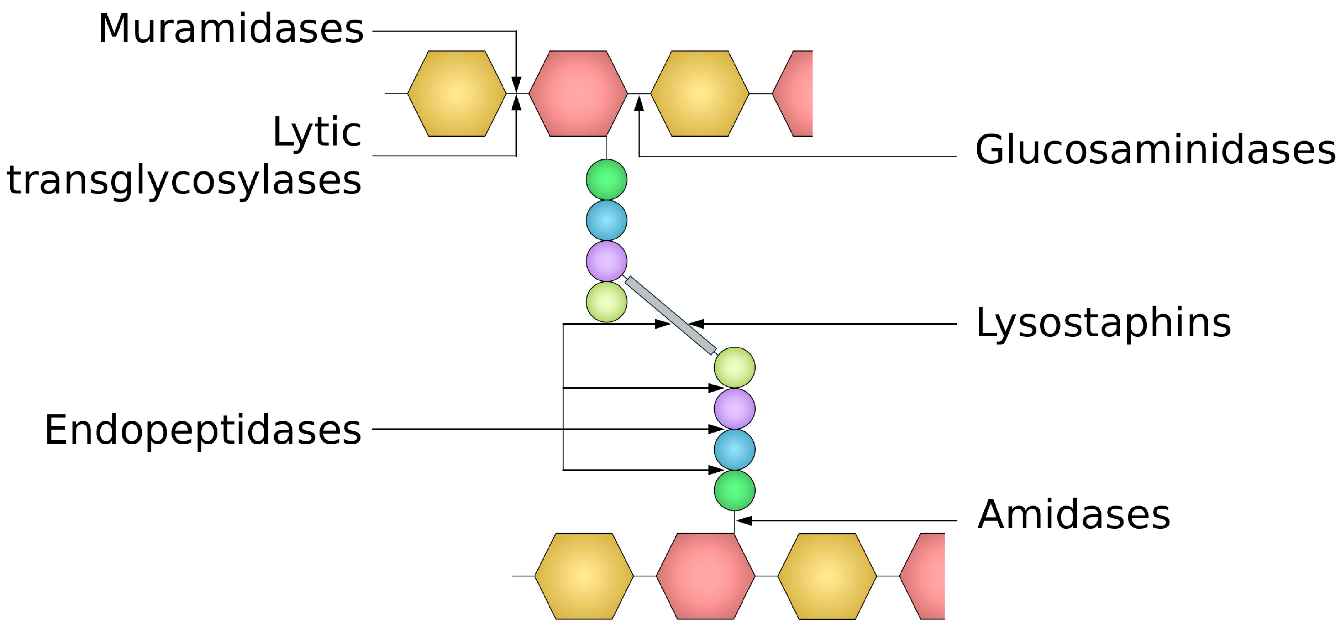 Molecules 29 04065 g004 Molecules 29 04065 g004