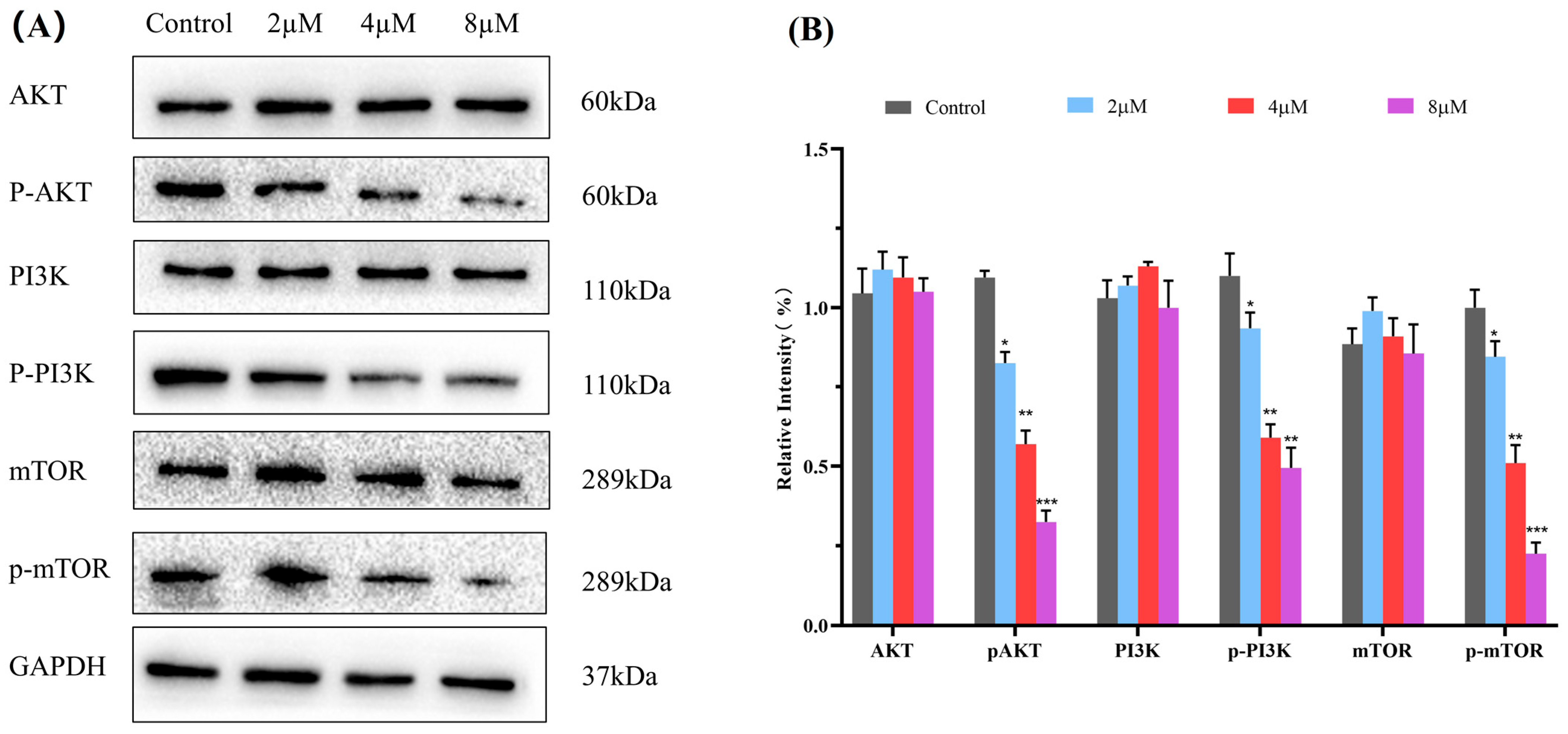 Molecules 29 04066 g008