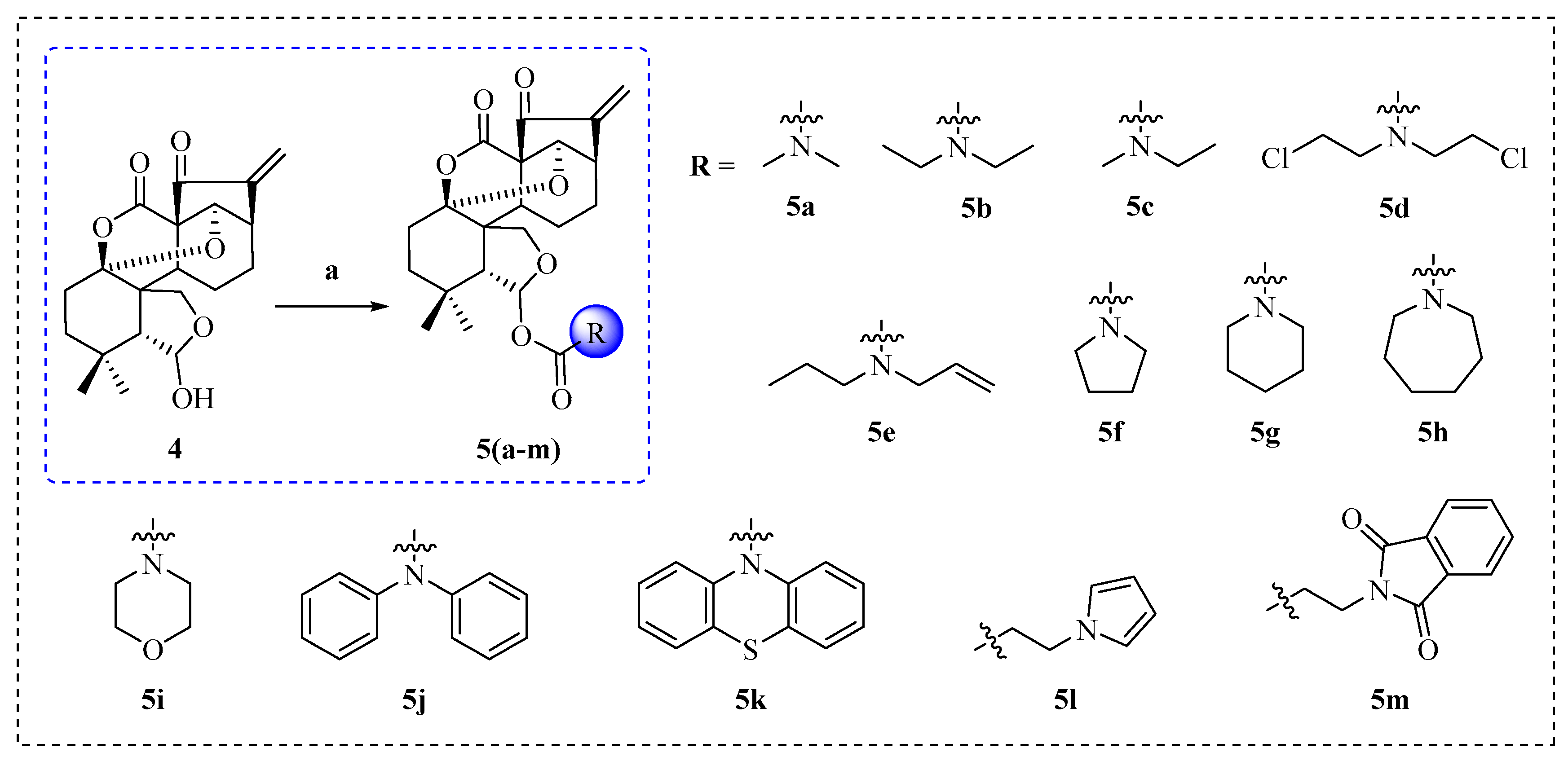 Molecules 29 04066 sch002