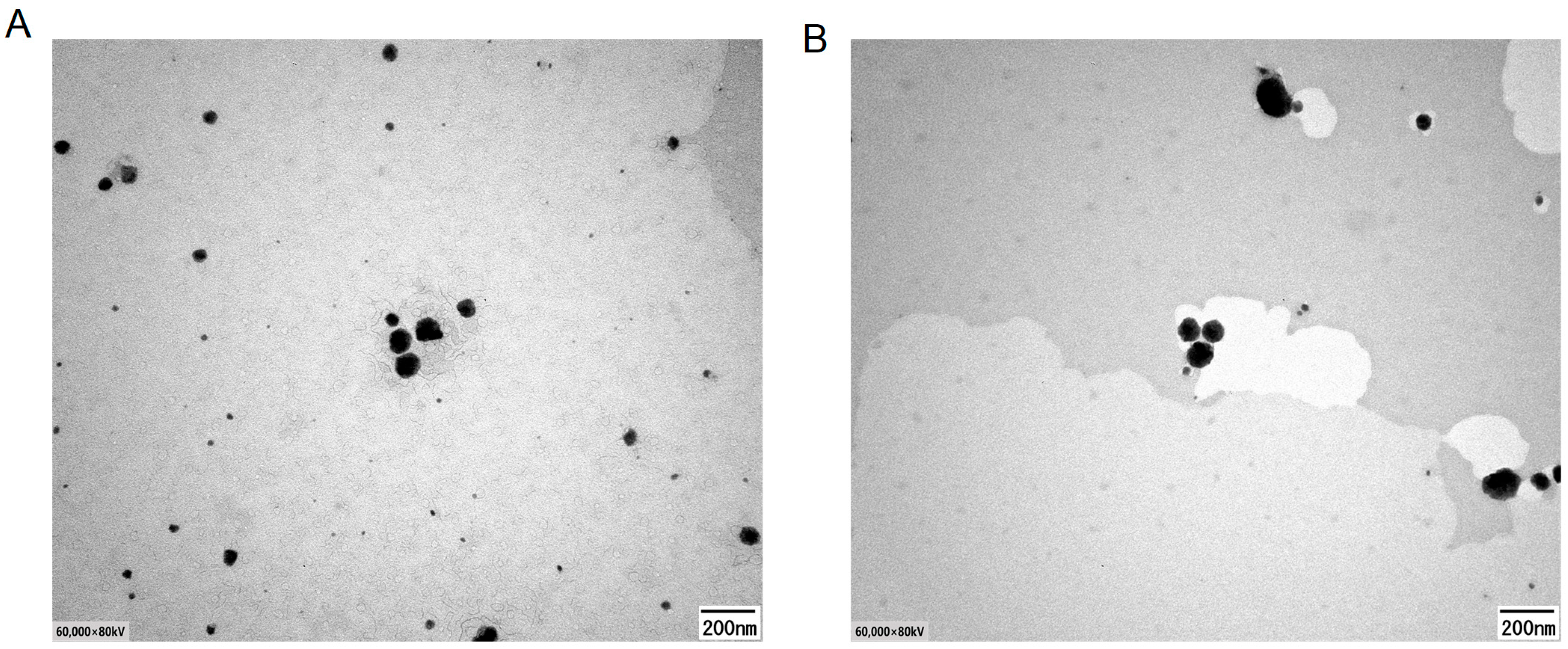 Molecules 29 04073 g005