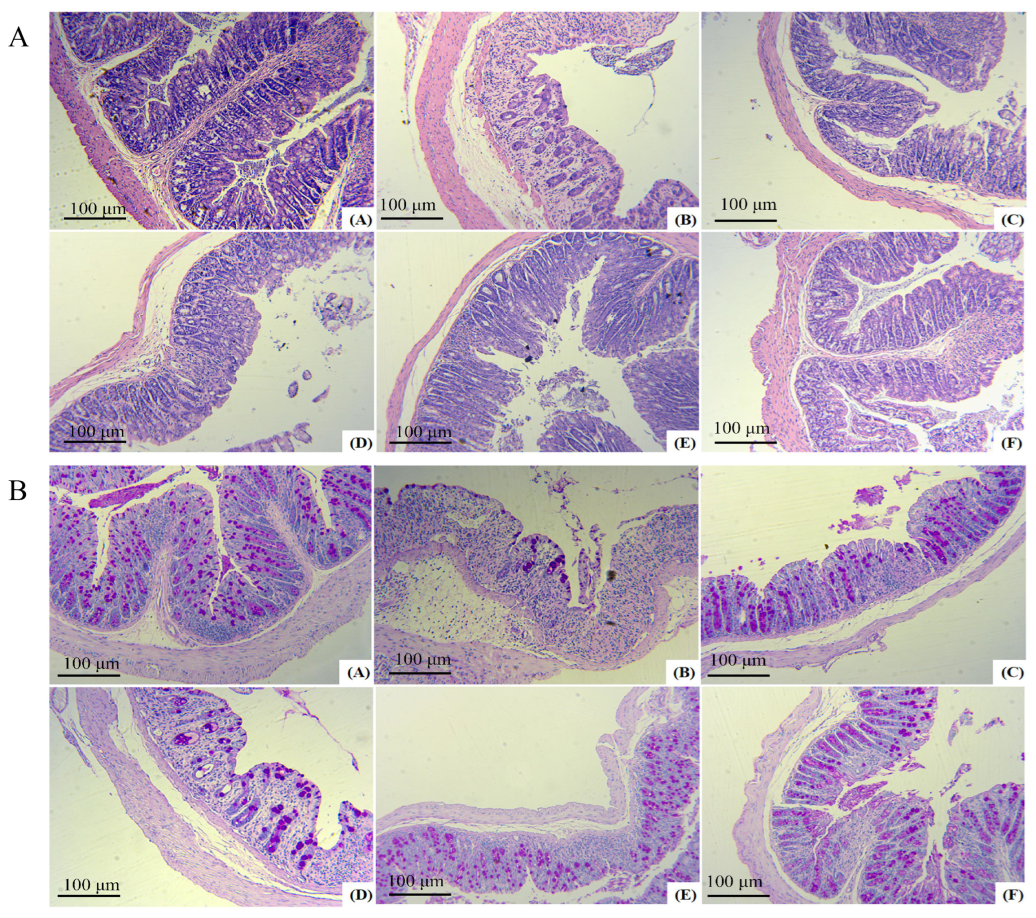 Molecules 29 04074 g007