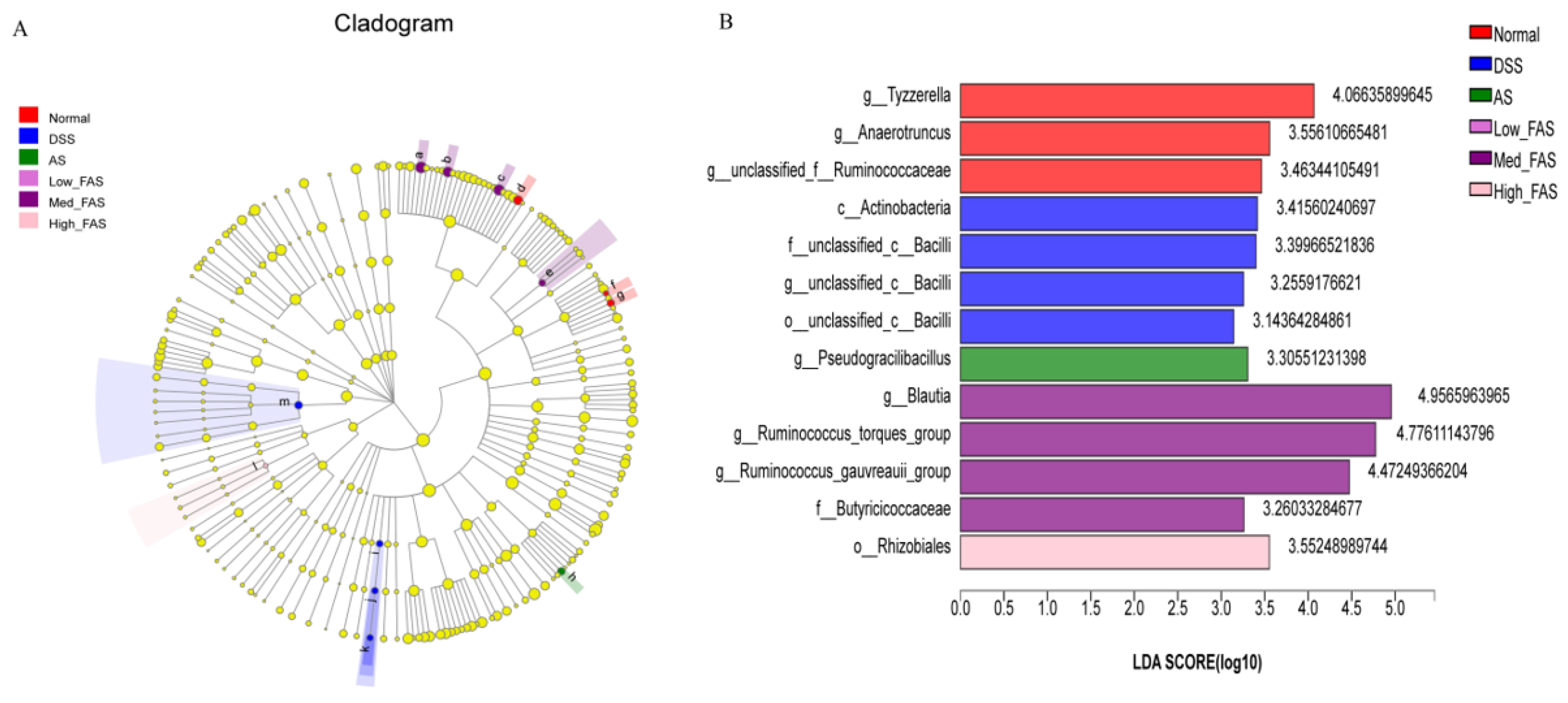 Molecules 29 04074 g011