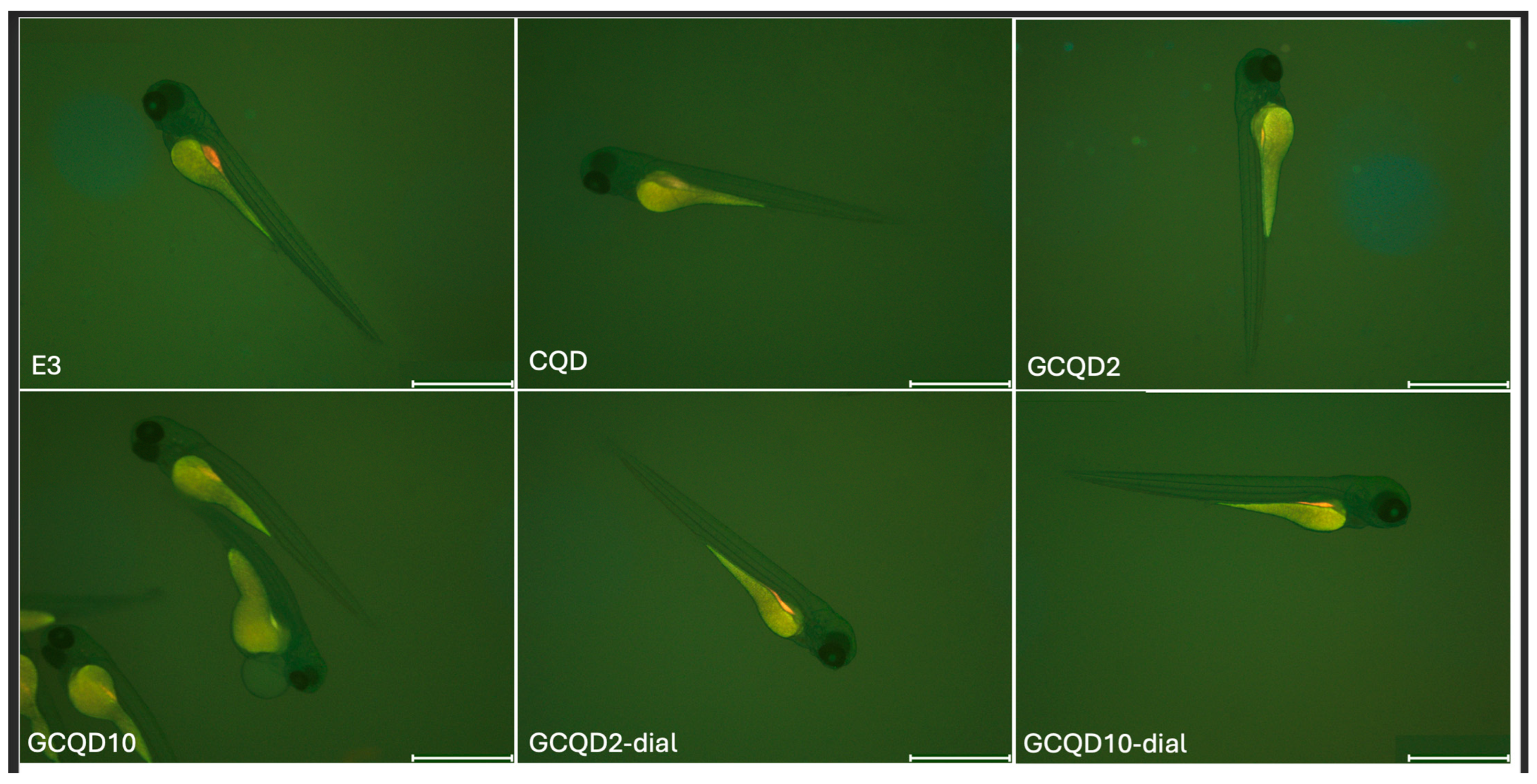 Molecules 29 04075 g011