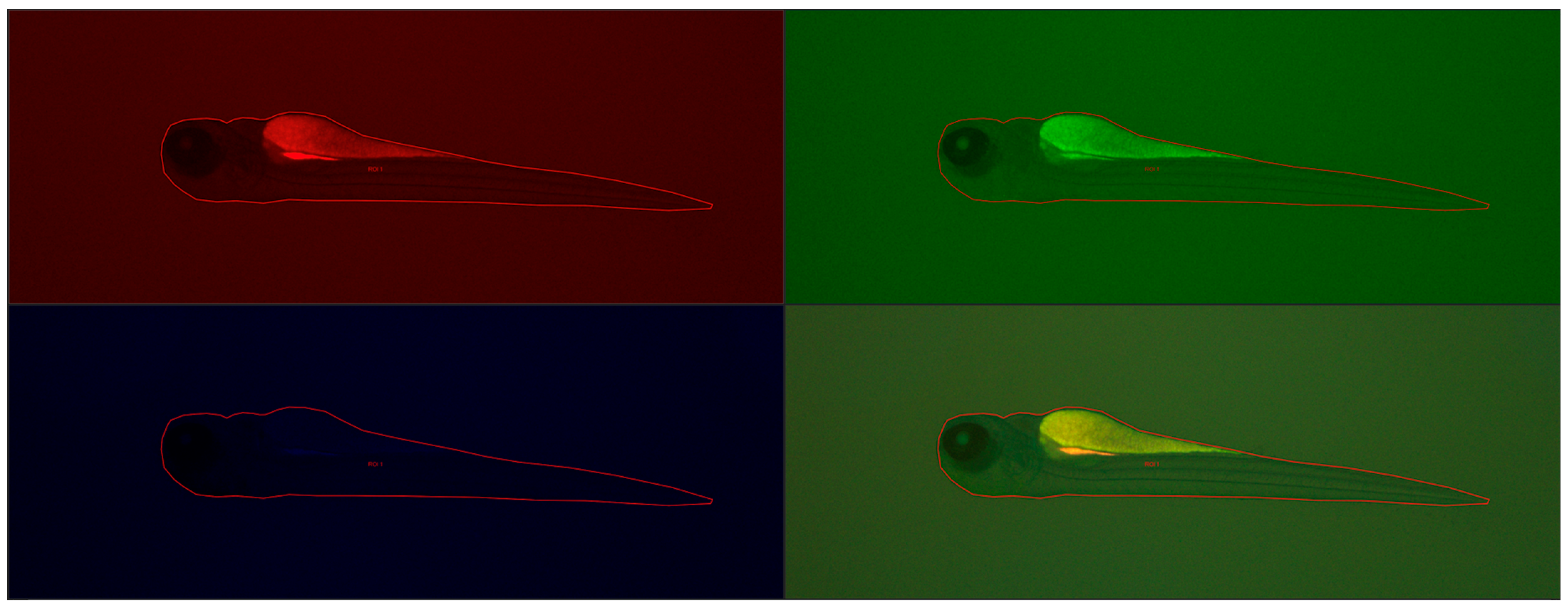 Molecules 29 04075 g013