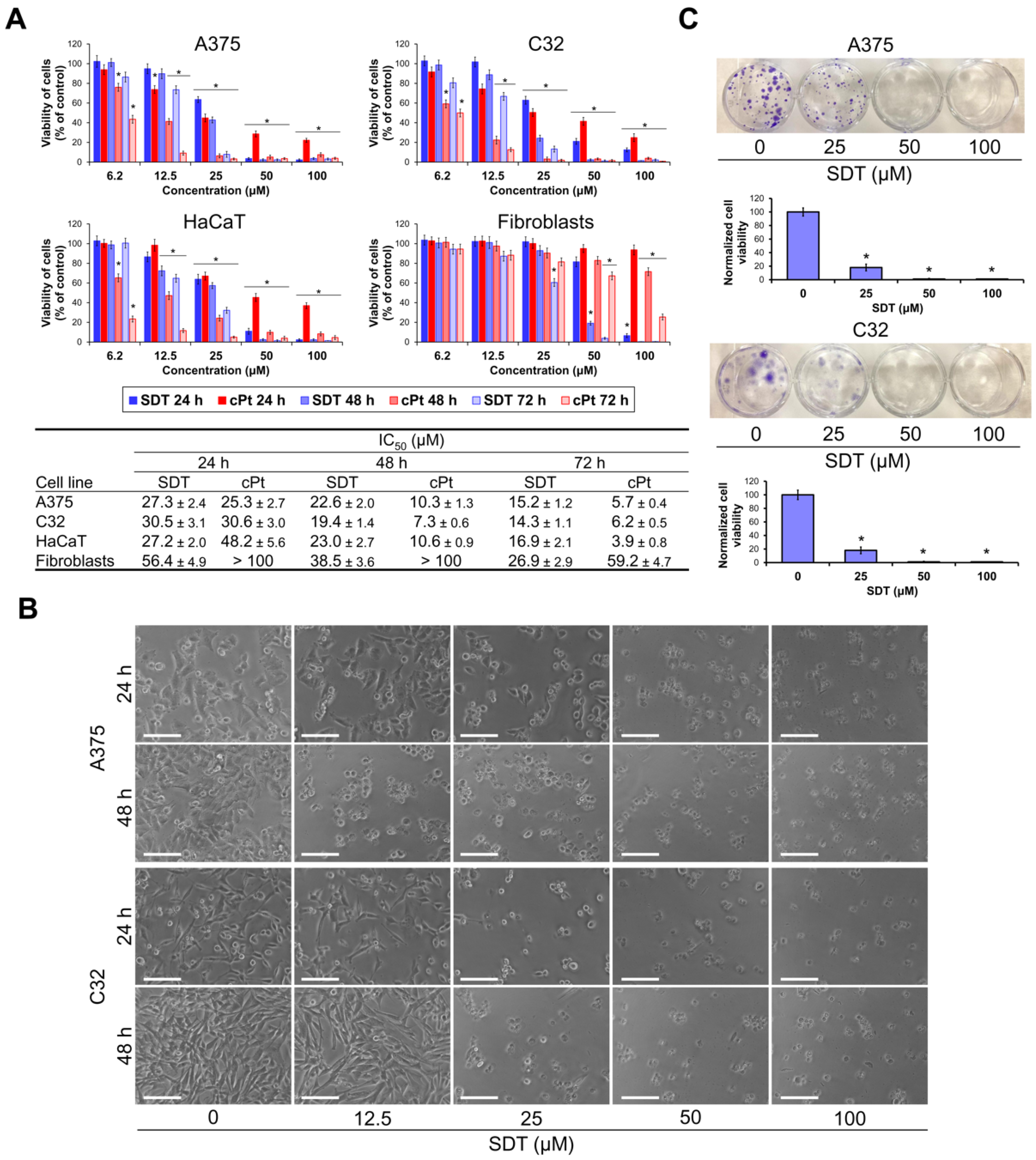 Molecules 29 04091 g002