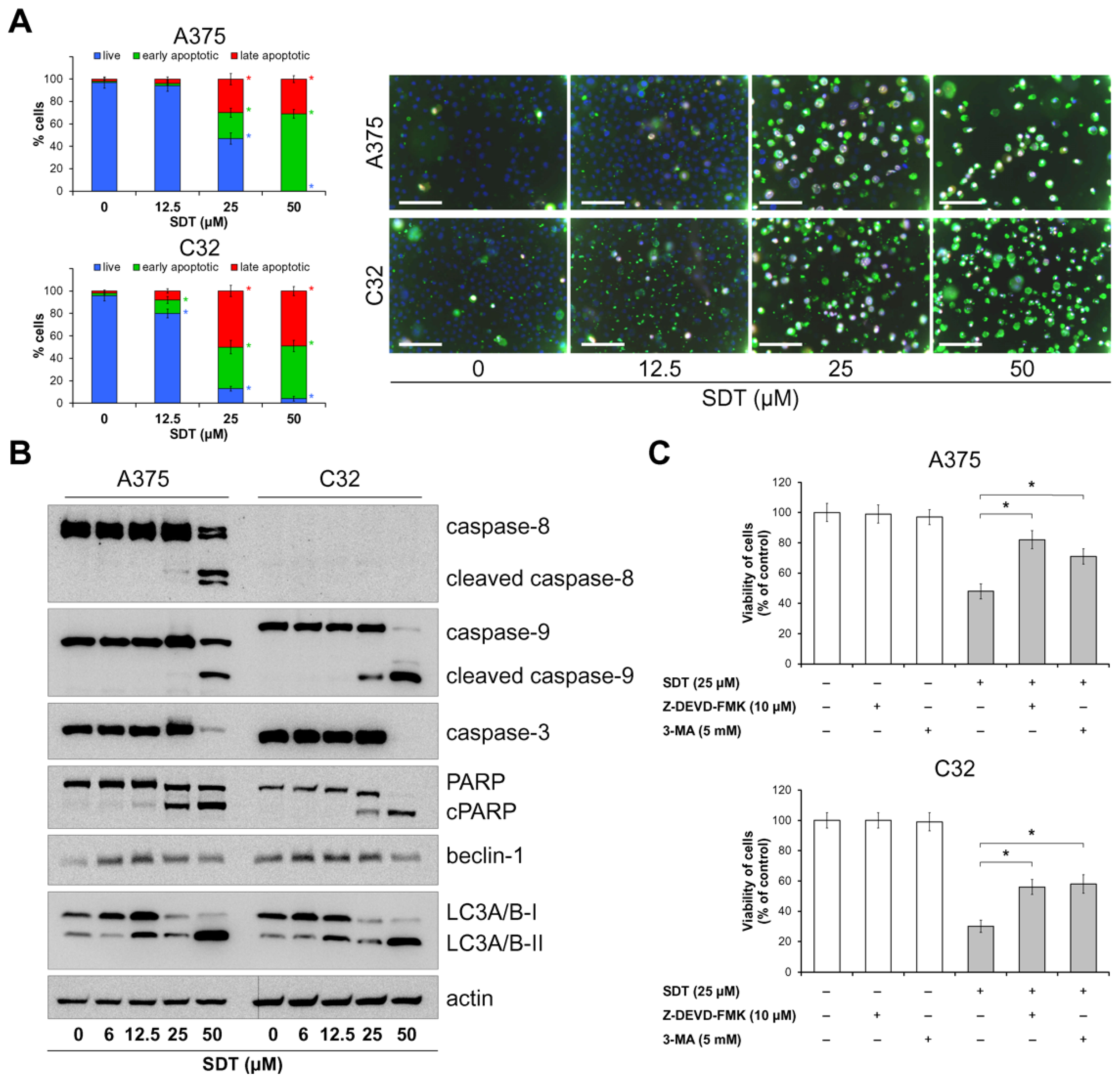 Molecules 29 04091 g003