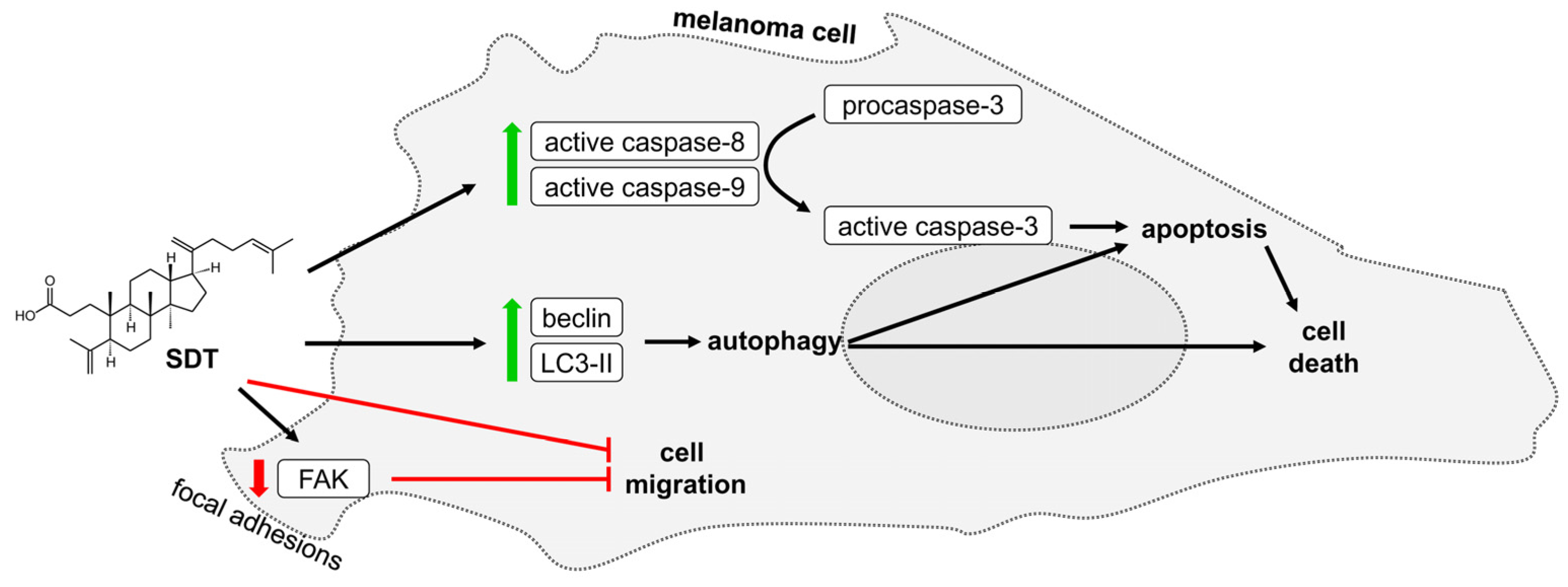 Molecules 29 04091 g005