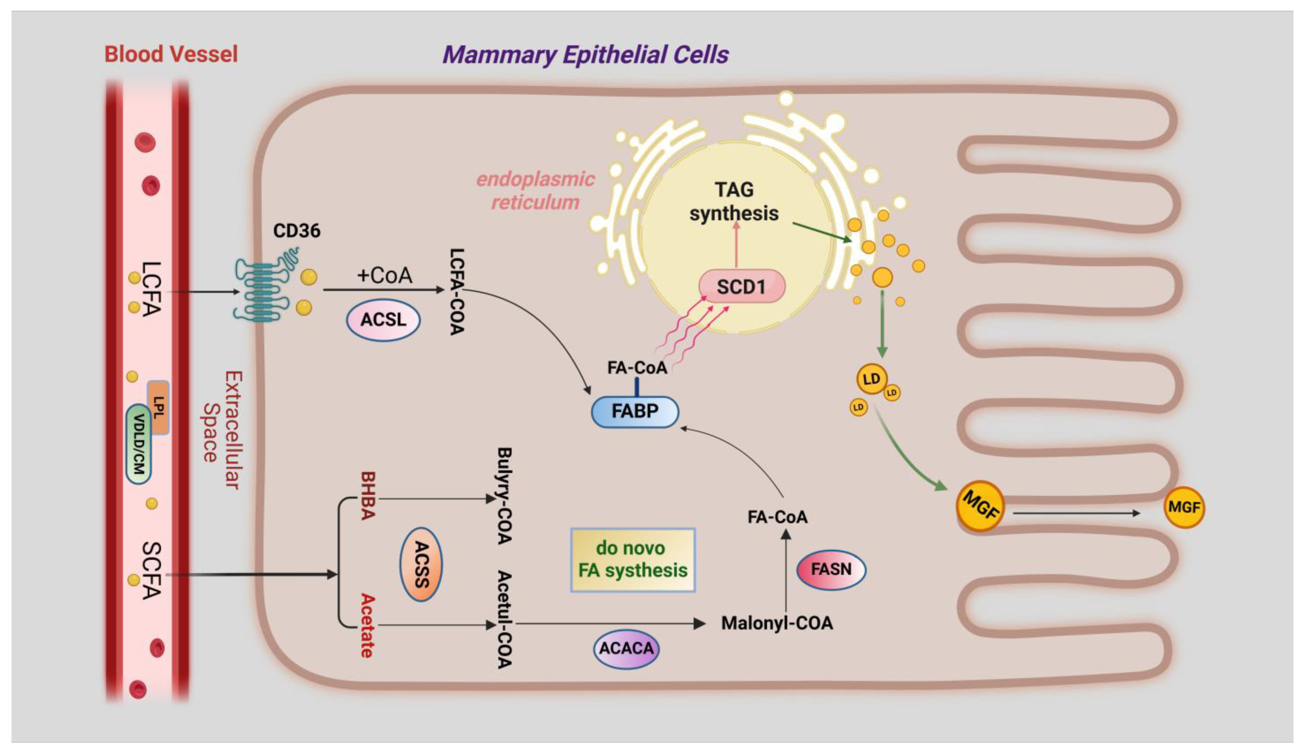 Molecules 29 04093 g003