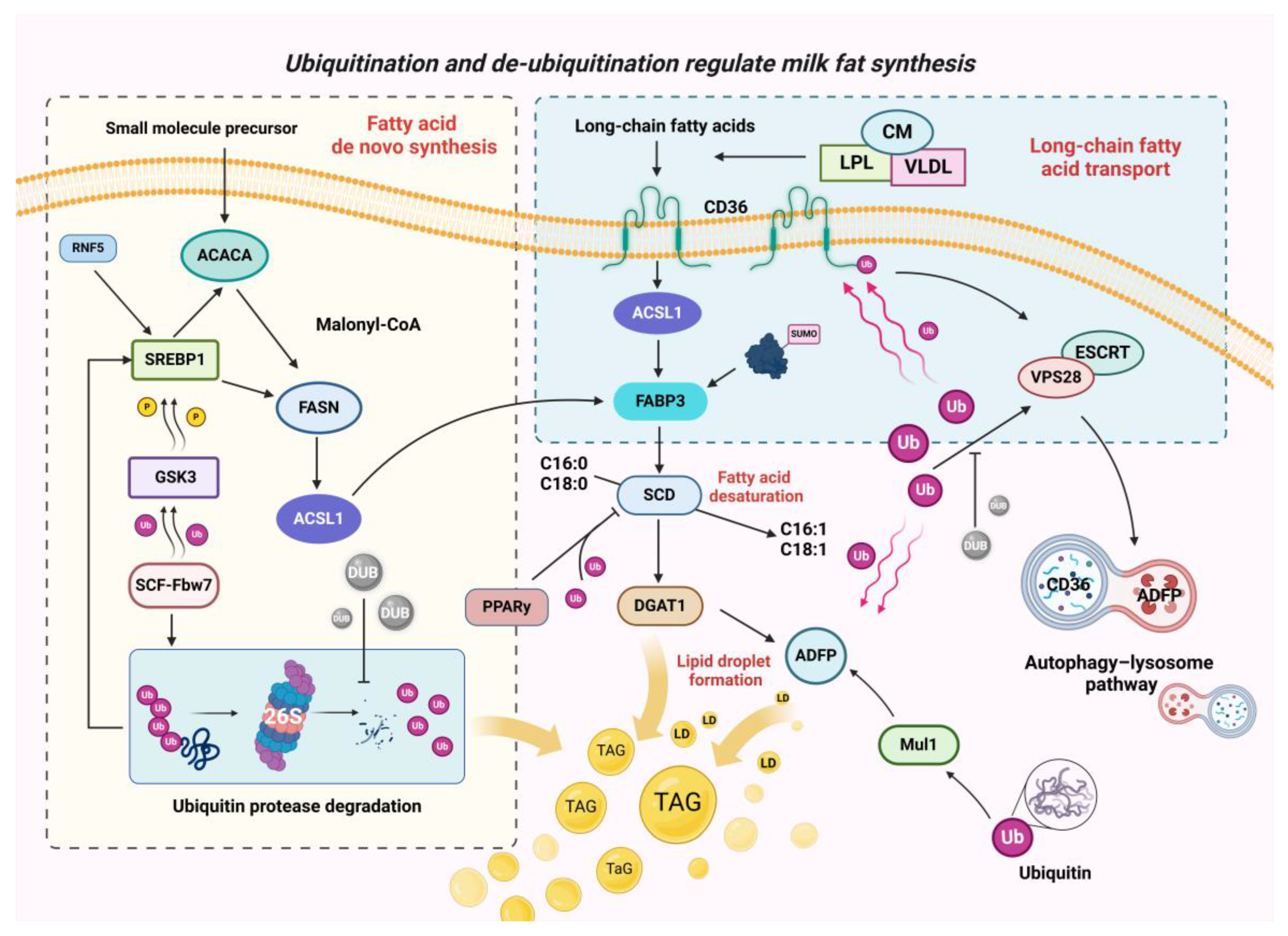 Molecules 29 04093 g004