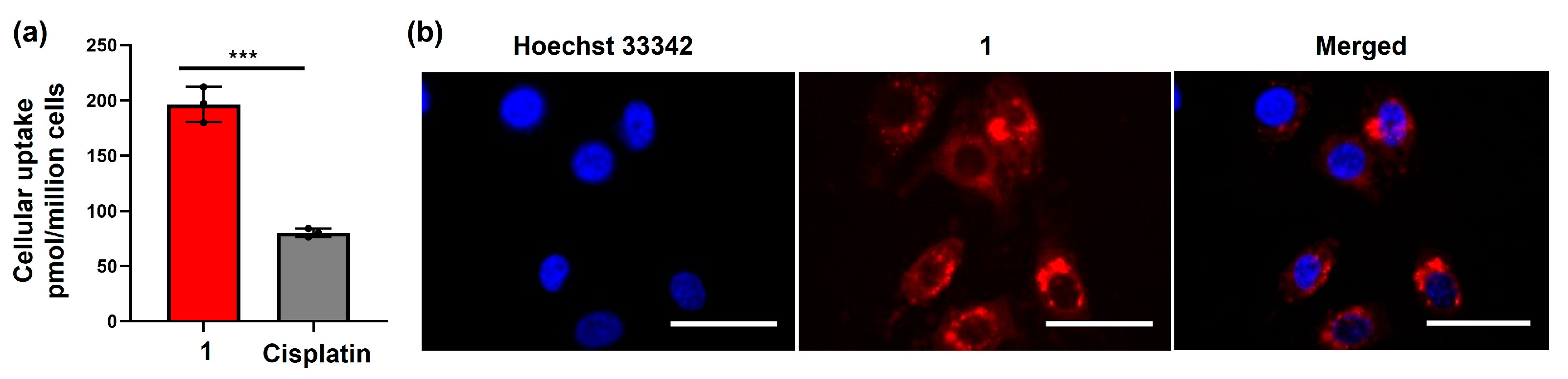 Molecules 29 04095 g002