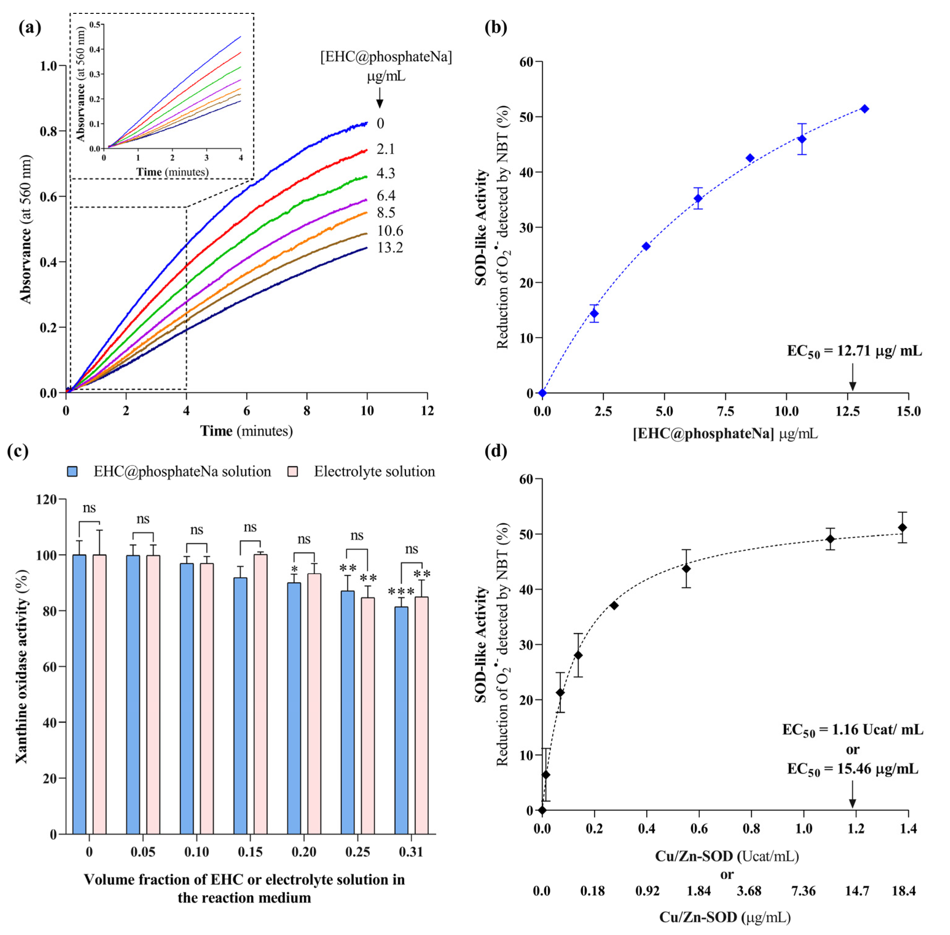 Molecules 29 04098 g006