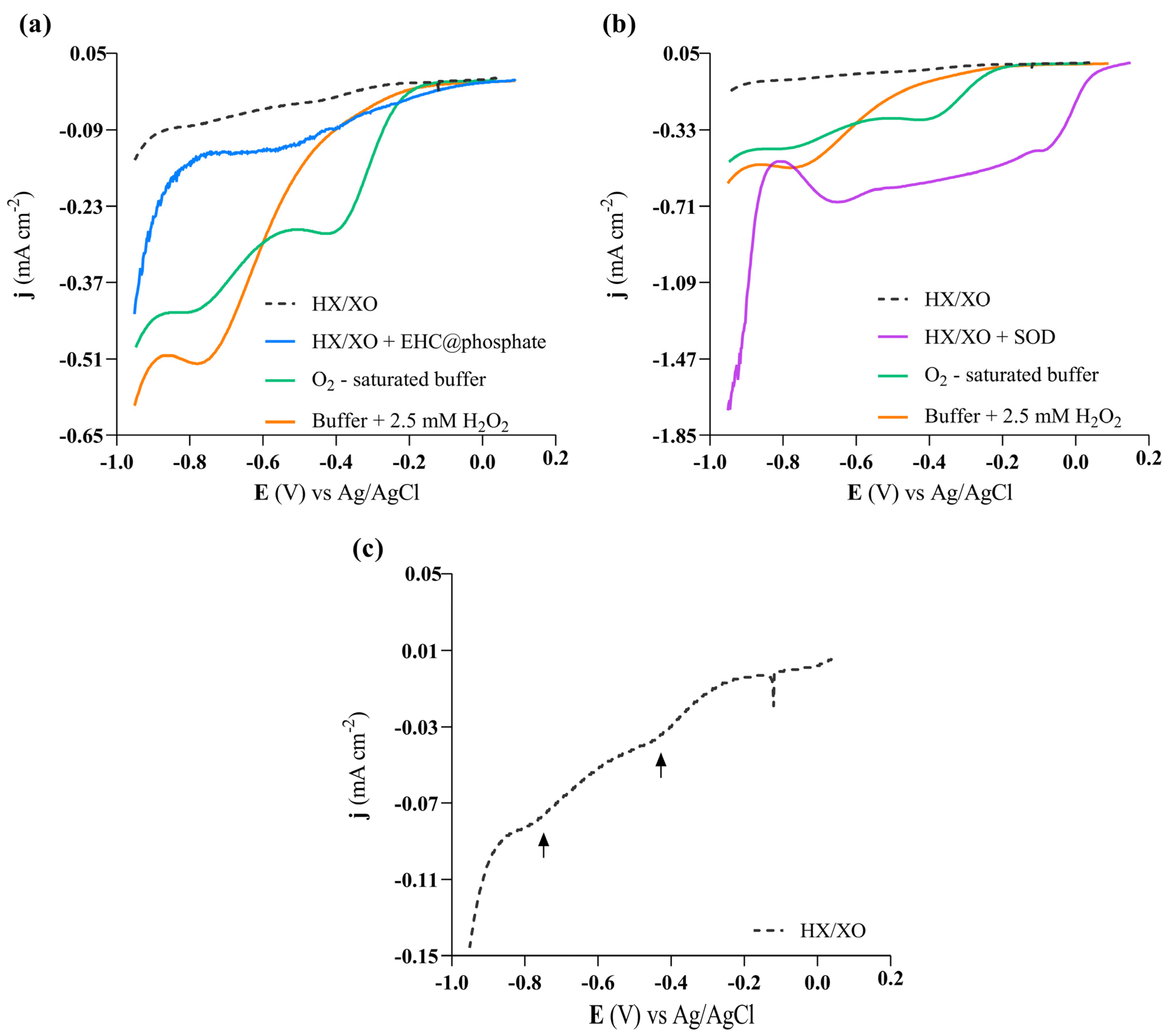 Molecules 29 04098 g007