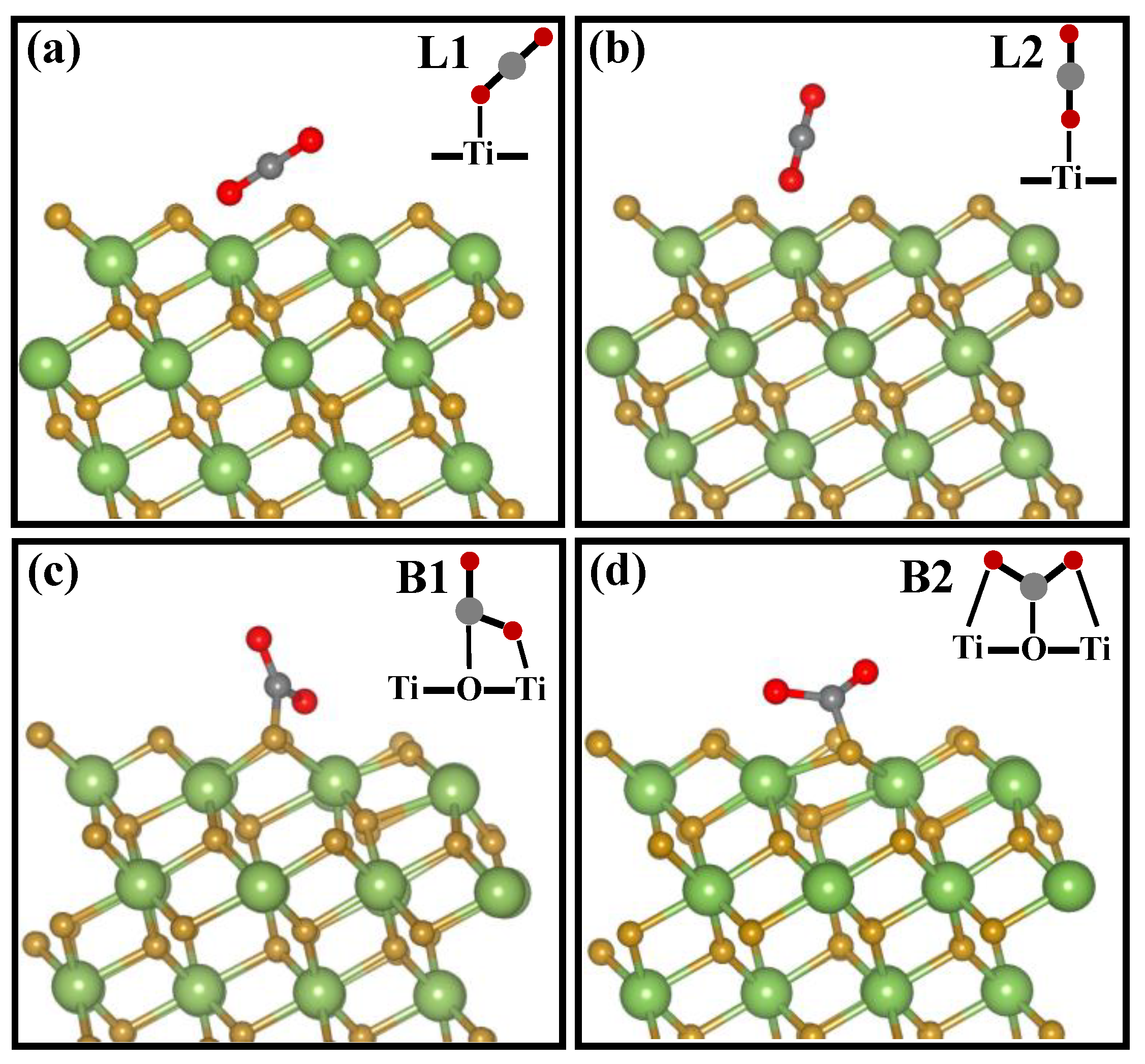 Molecules 29 04105 g009
