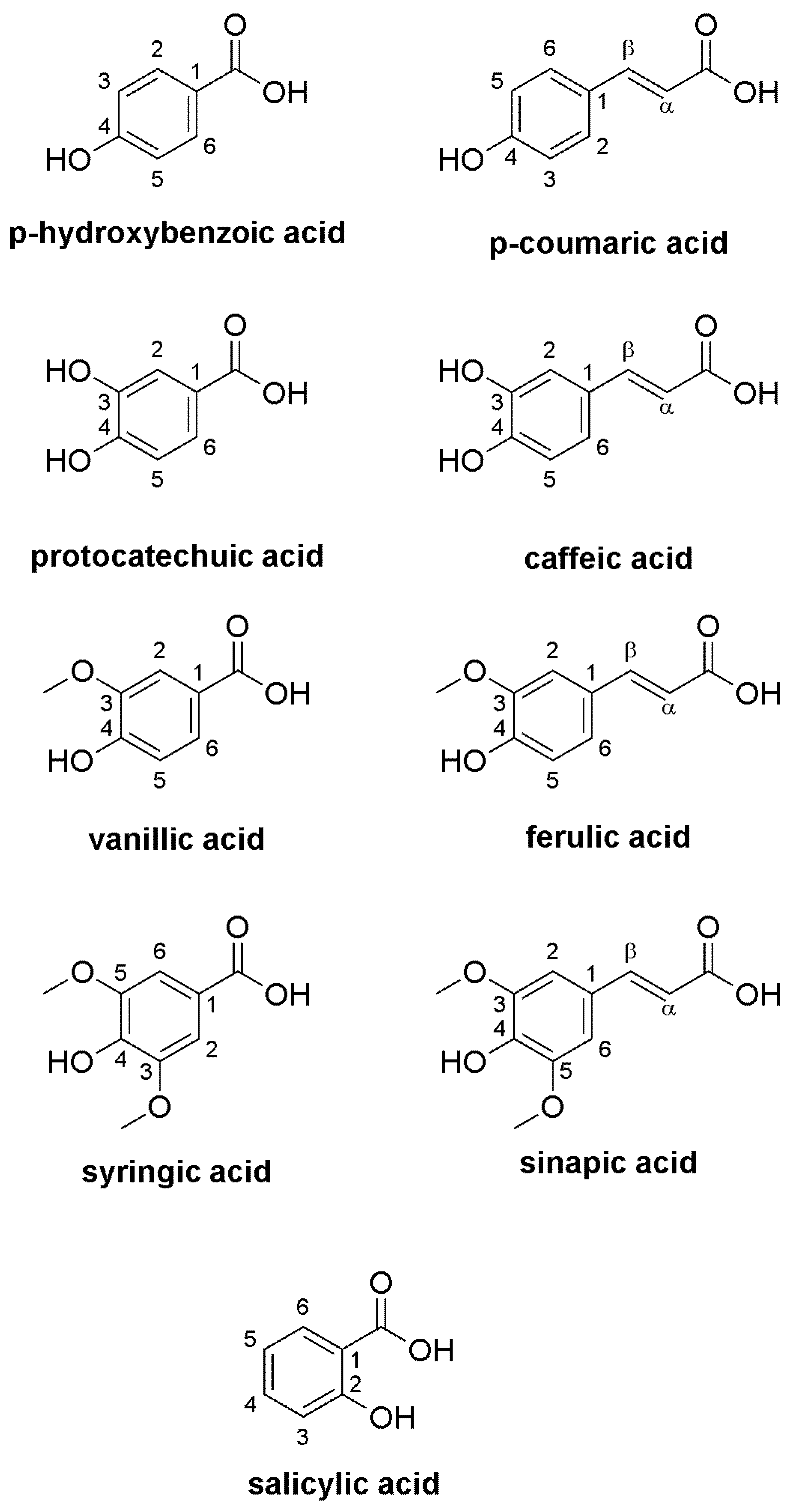 Molecules 29 04106 g003