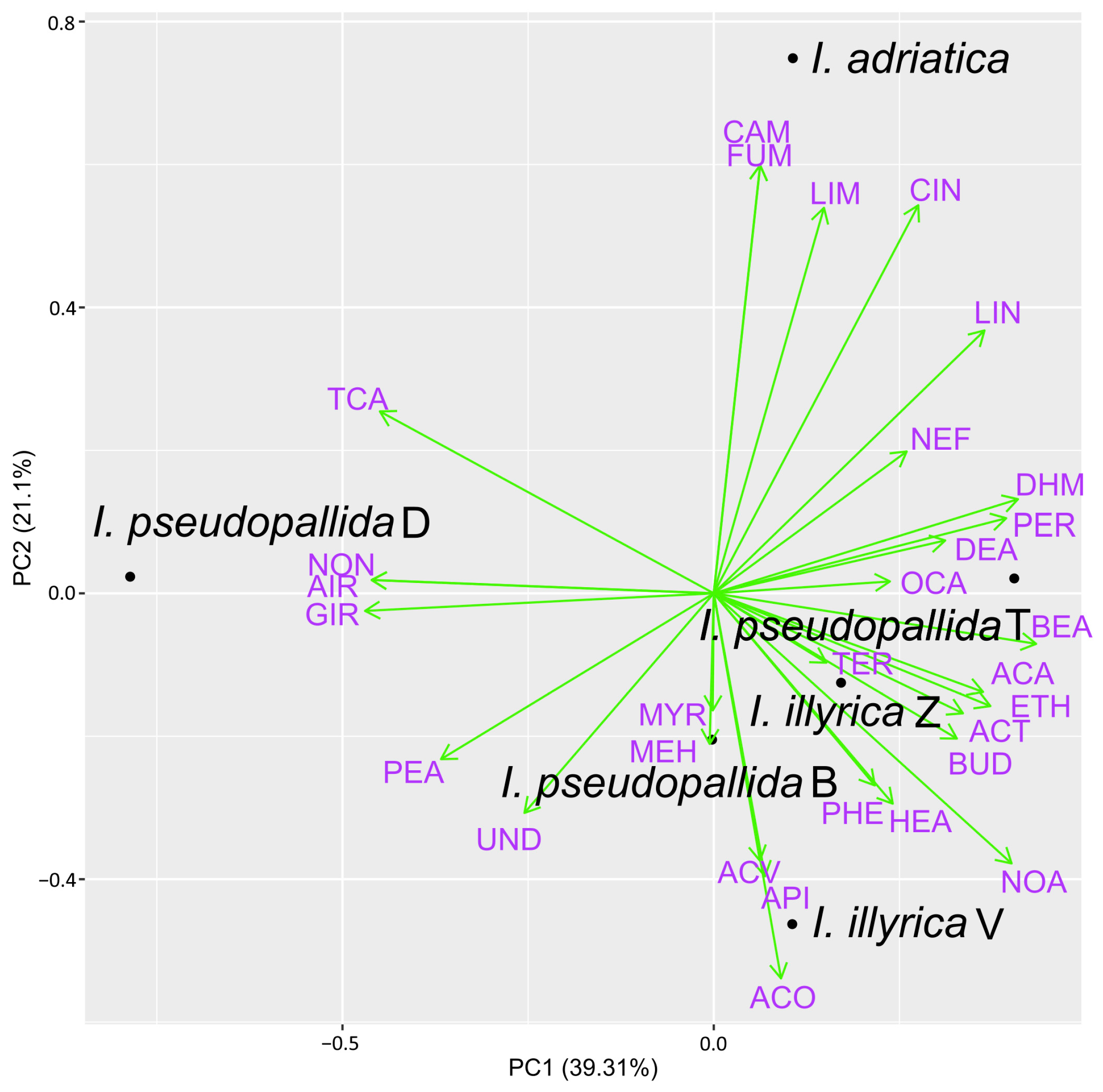 Molecules 29 04107 g004 Molecules 29 04107 g004