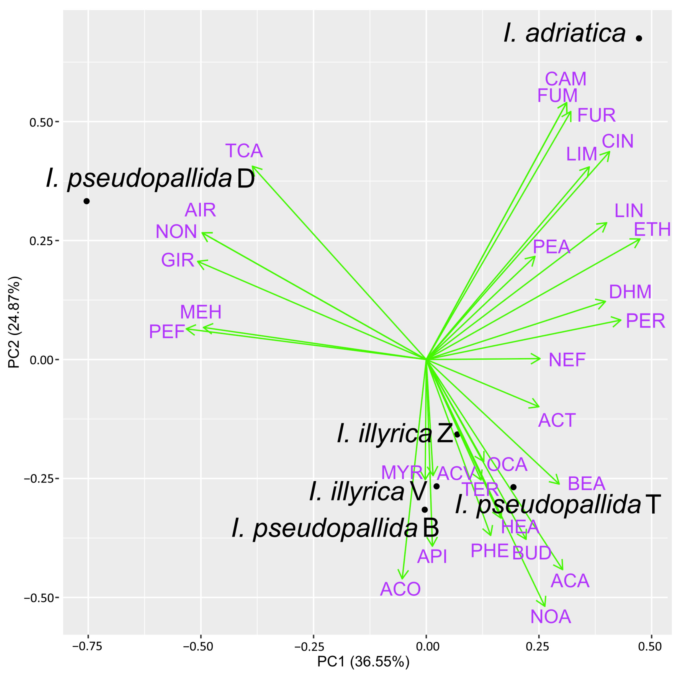 Molecules 29 04107 g005 Molecules 29 04107 g005