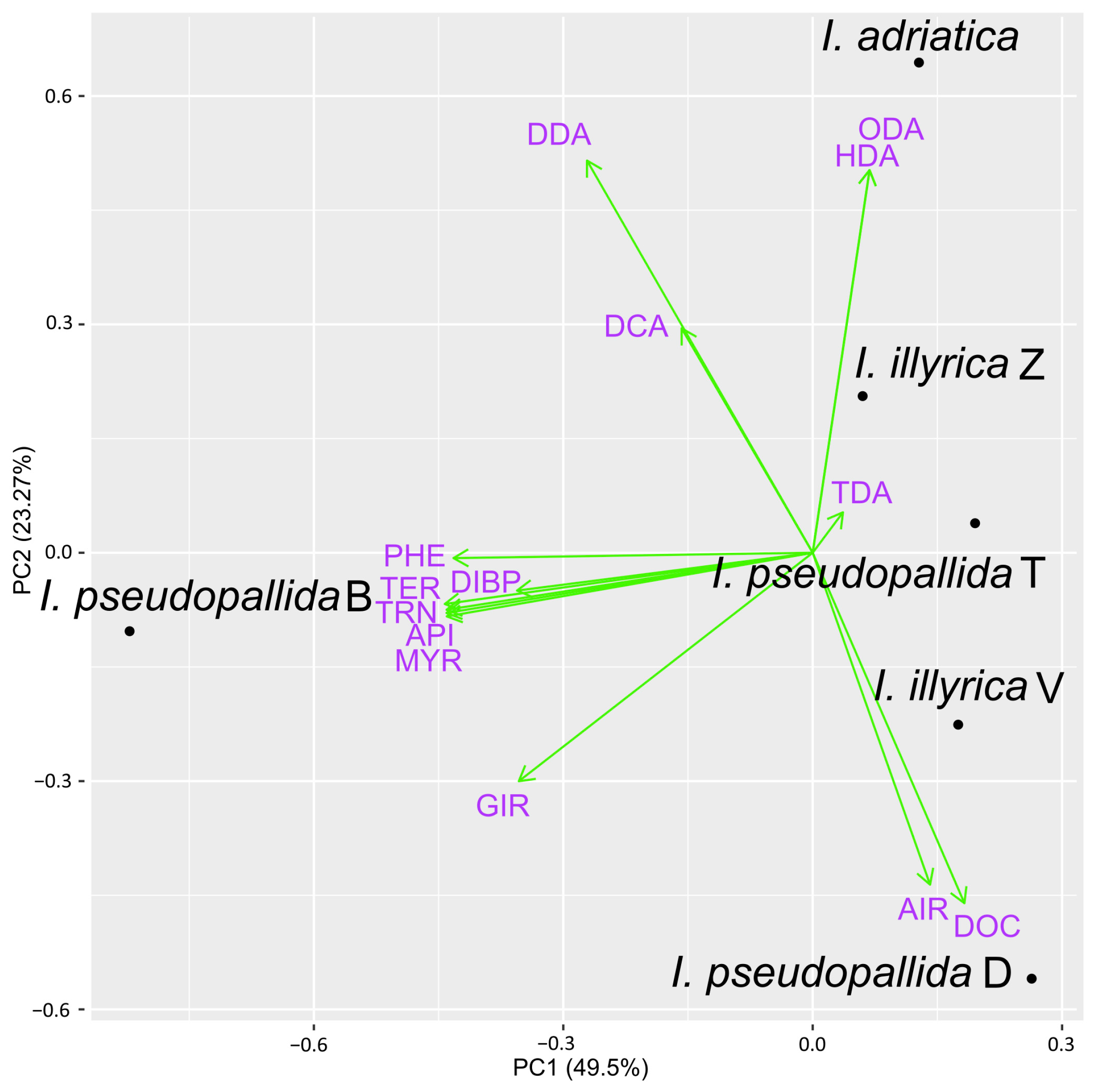 Molecules 29 04107 g006 Molecules 29 04107 g006