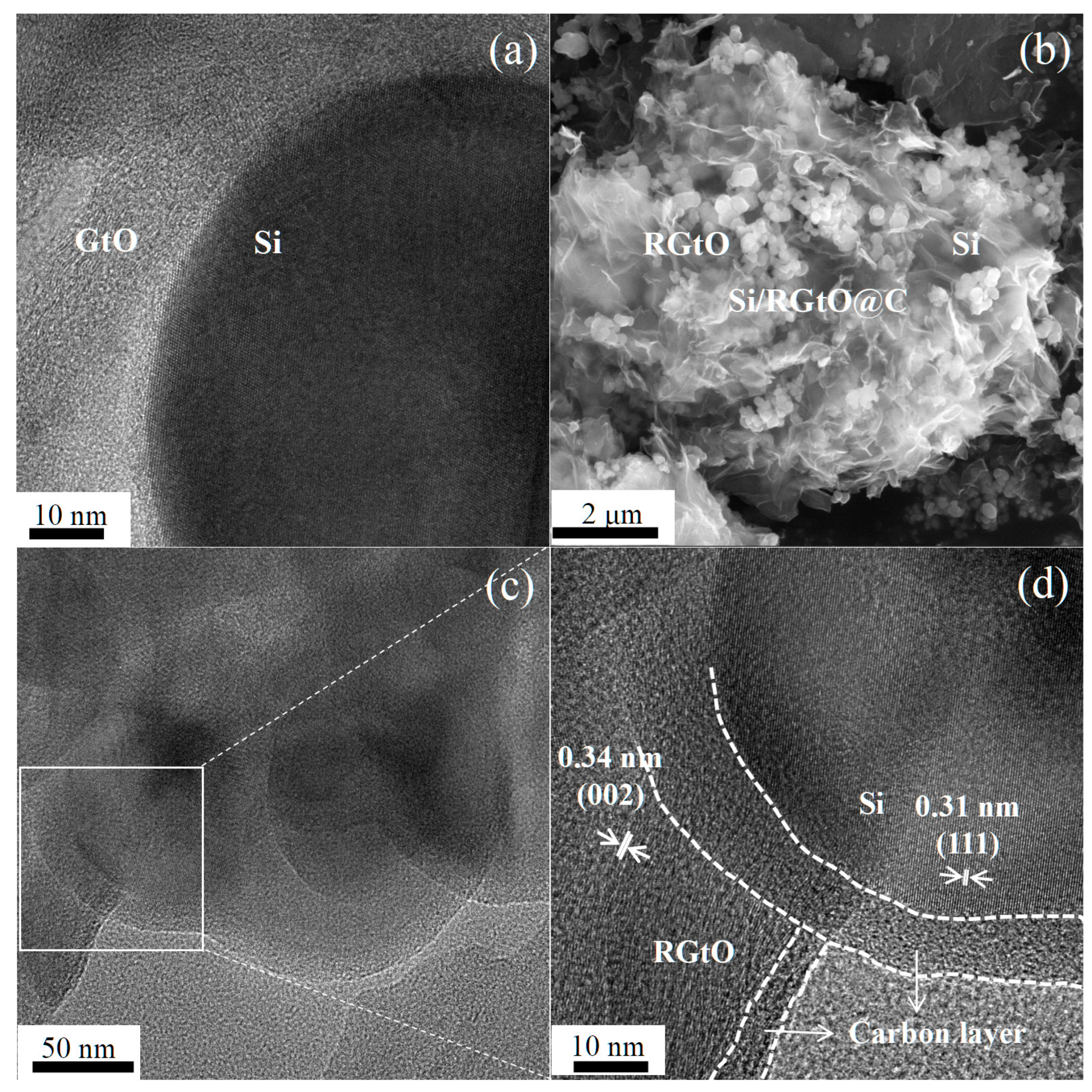 Molecules 29 04108 g002
