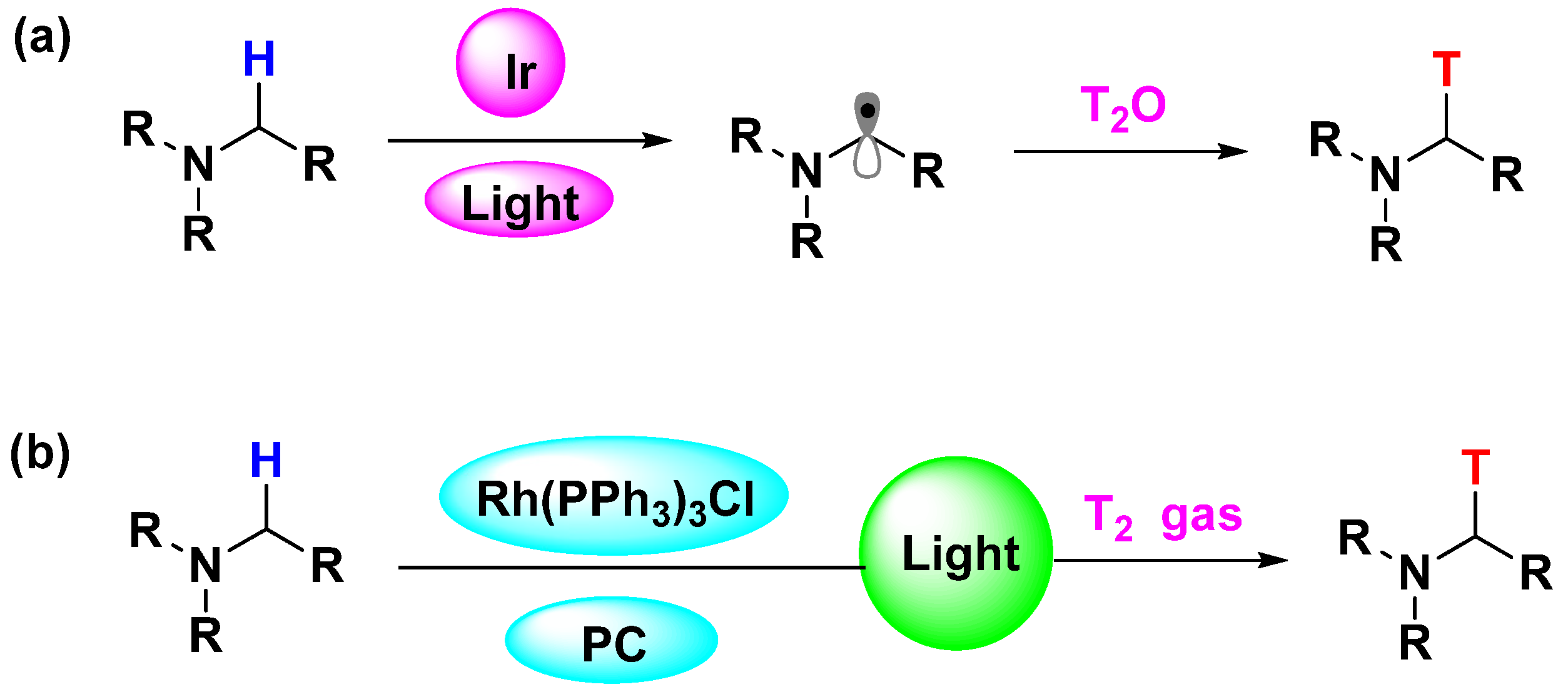 Molecules 29 04109 sch005 Molecules 29 04109 sch005