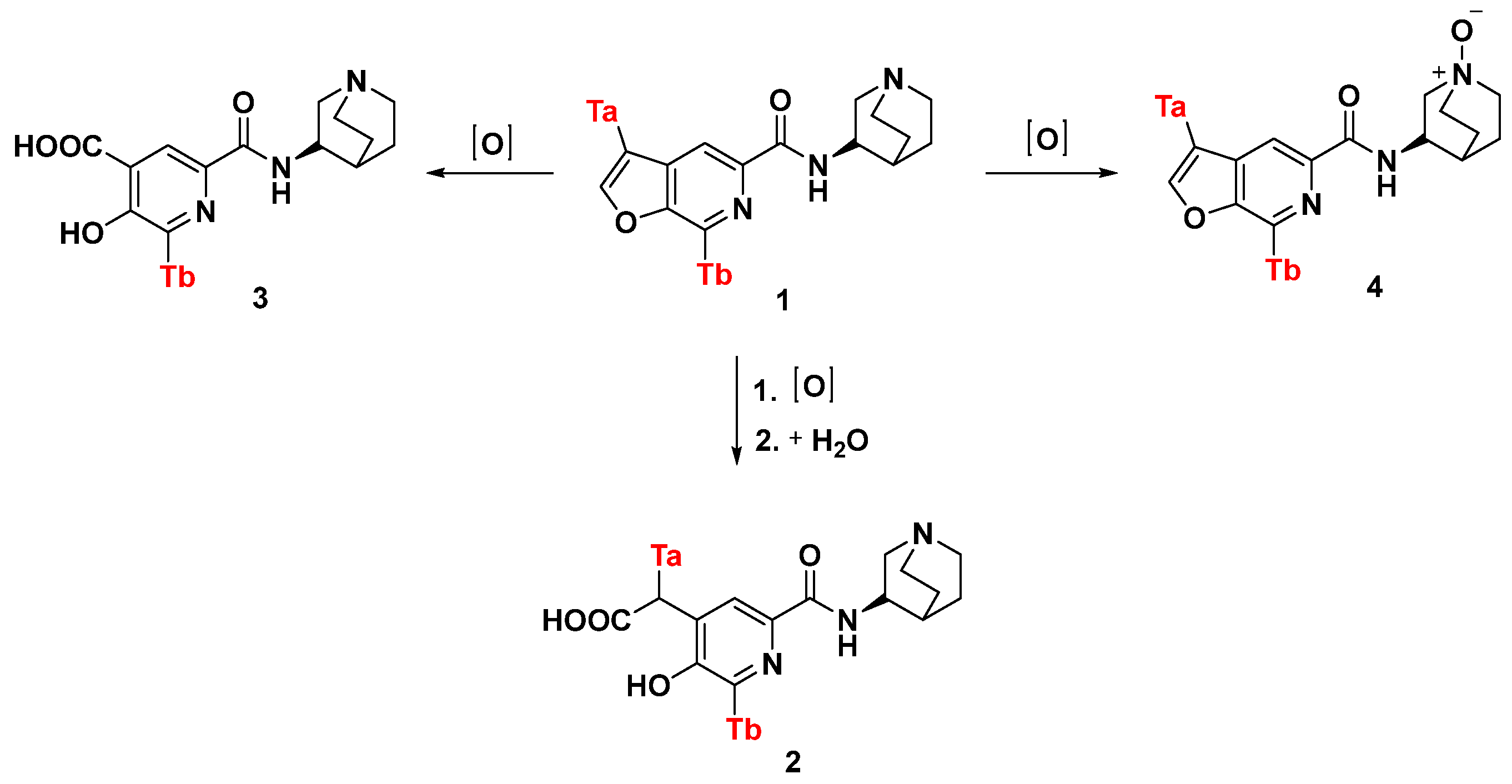 Molecules 29 04109 sch006 Molecules 29 04109 sch006