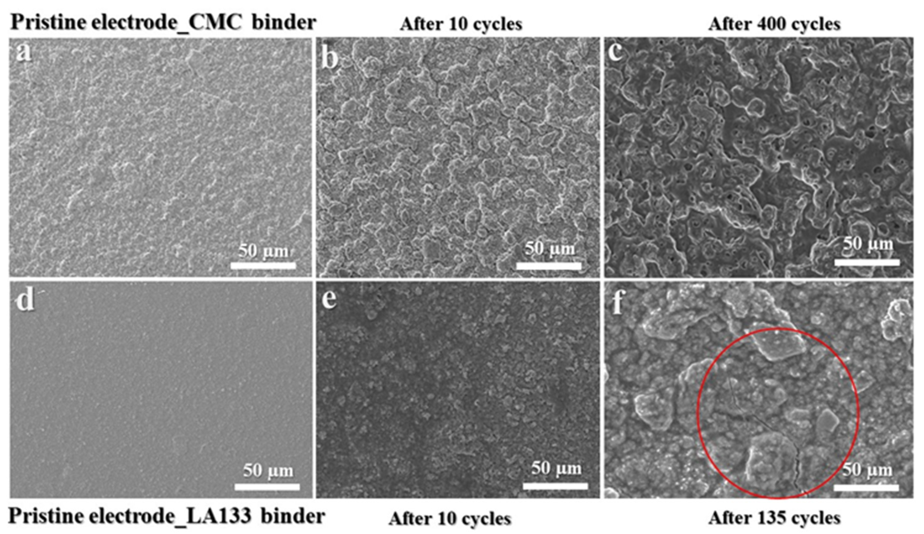 Molecules 29 04114 g009 Molecules 29 04114 g009