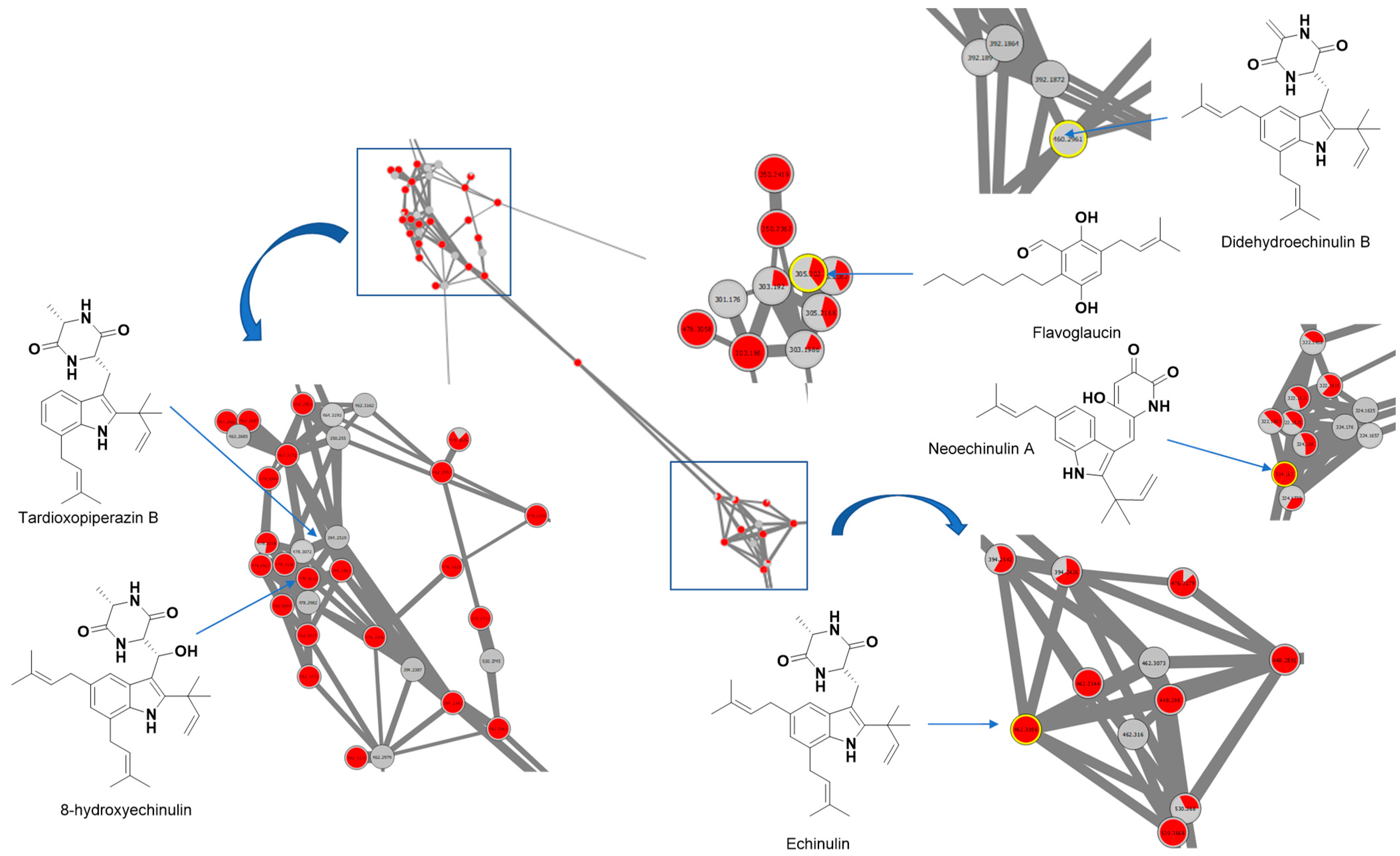 Molecules 29 04117 g005