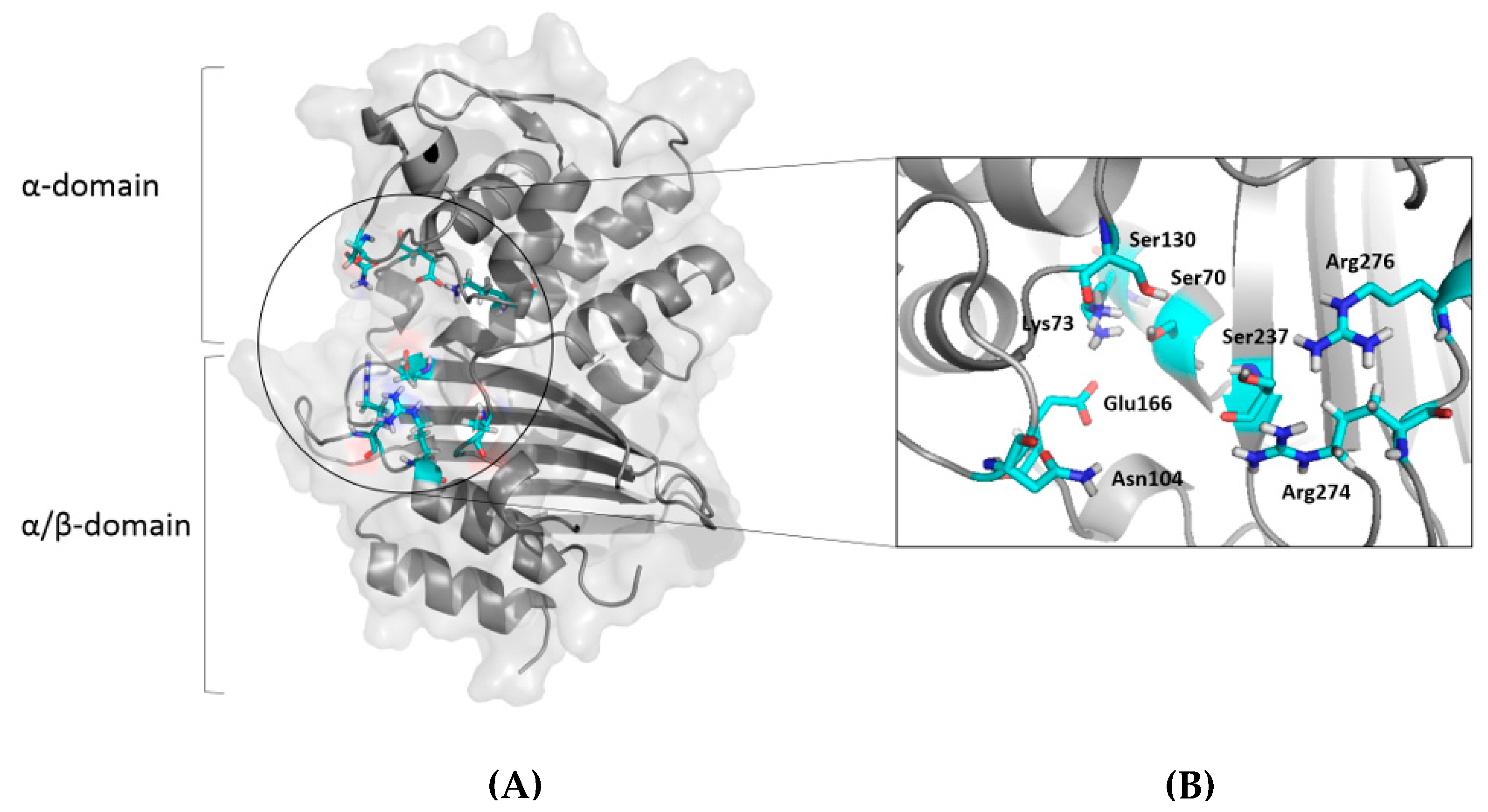 Molecules 29 04119 g005