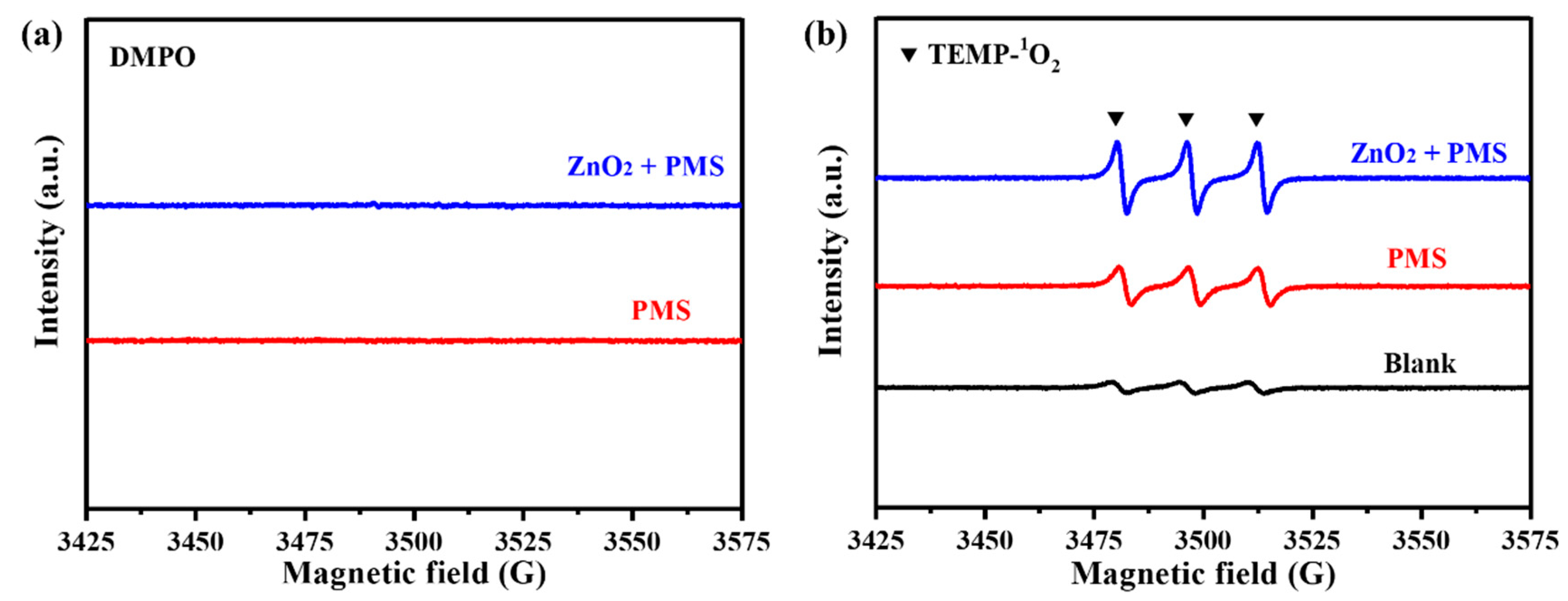 Molecules 29 04120 g007