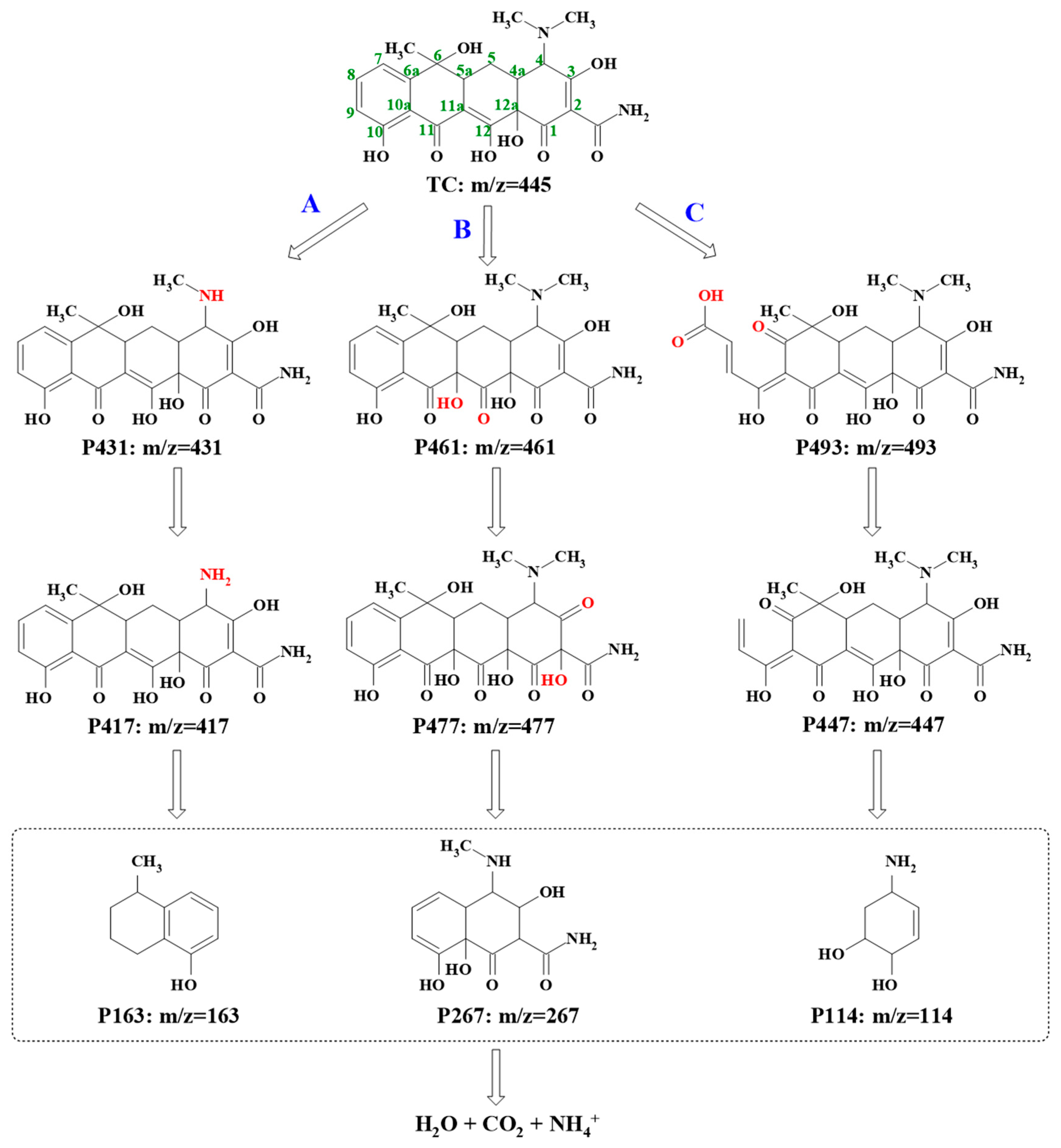 Molecules 29 04120 g008
