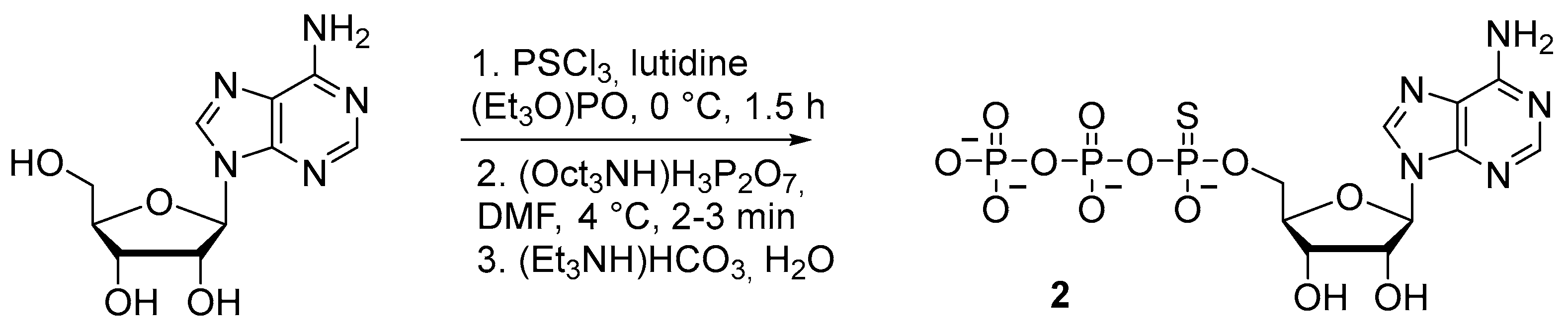 Molecules 29 04121 sch004 Molecules 29 04121 sch004