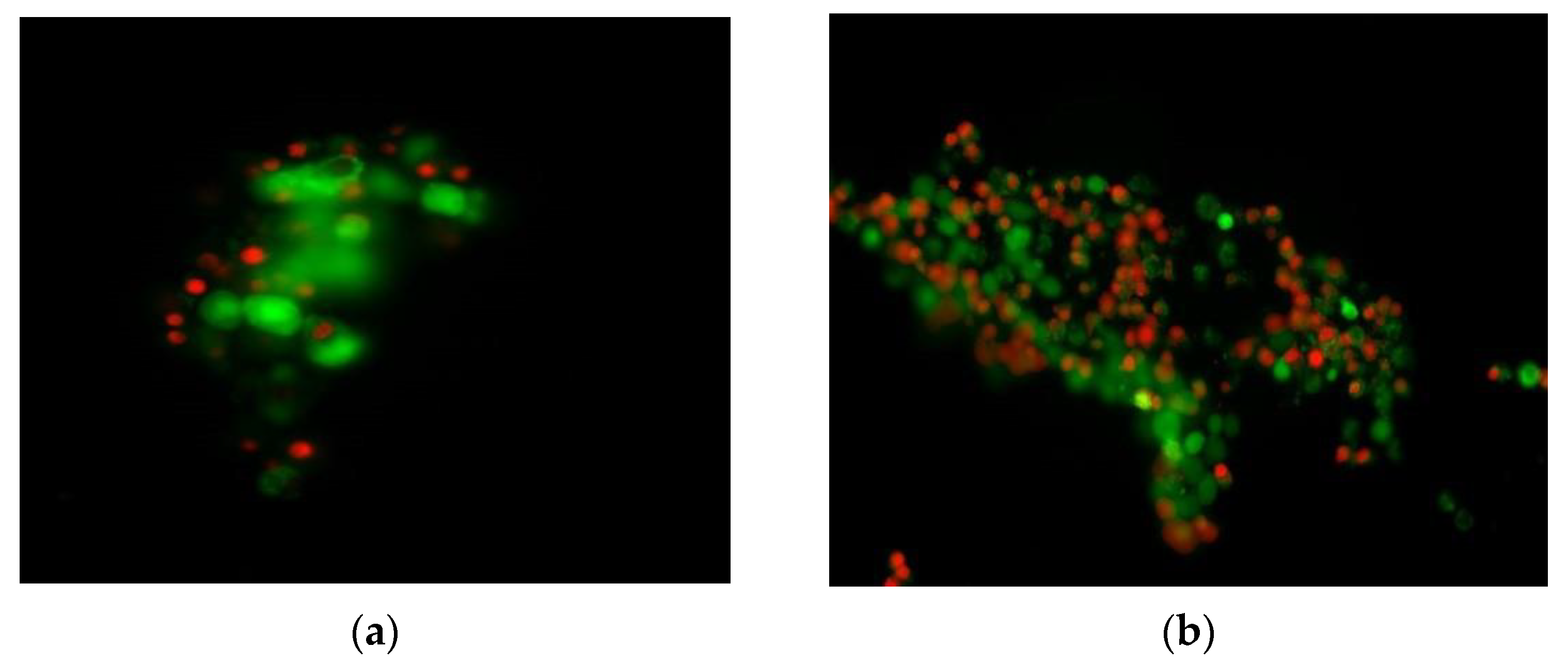 Molecules 29 04122 g023