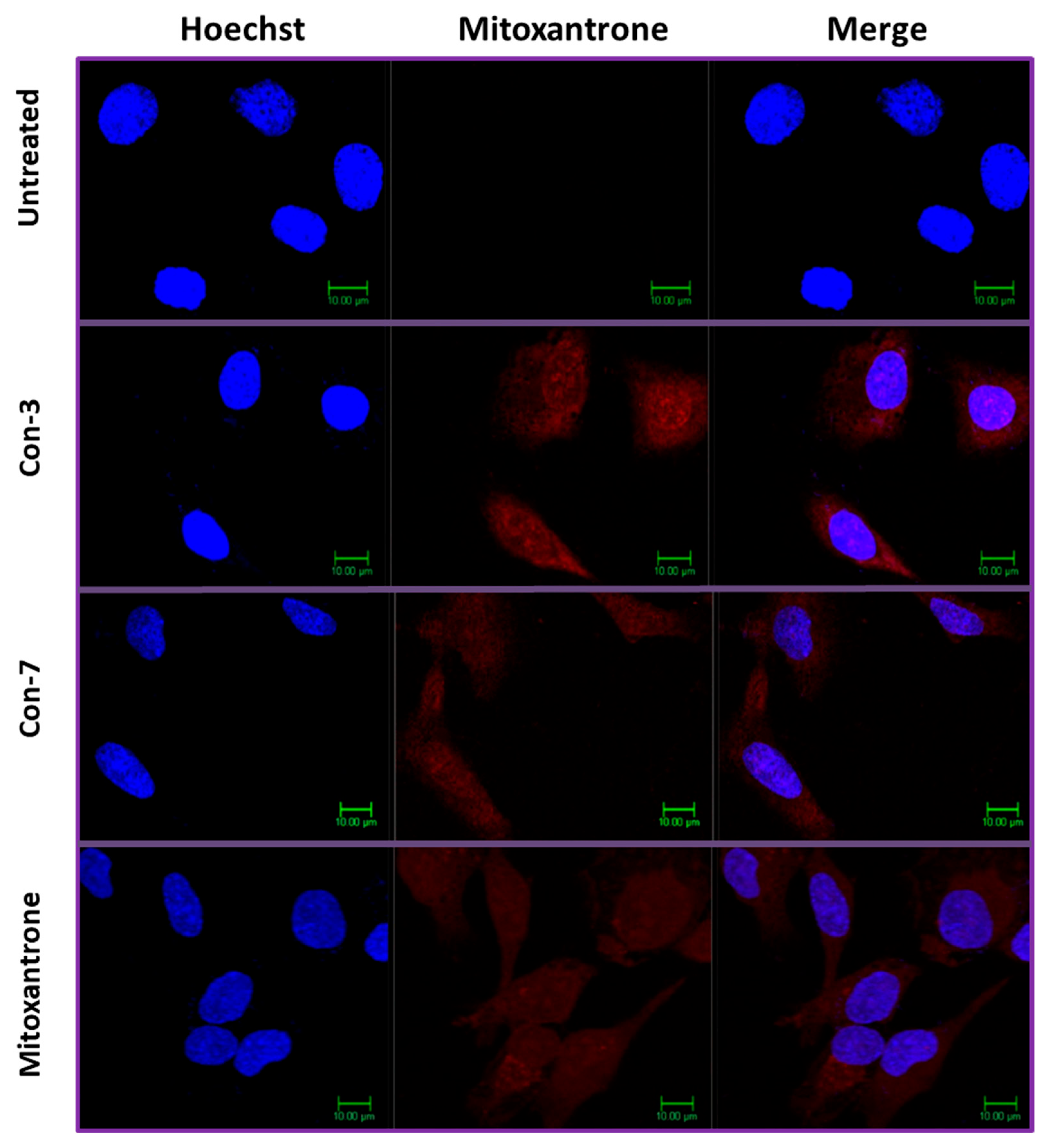 Molecules 29 04127 g009 Molecules 29 04127 g009