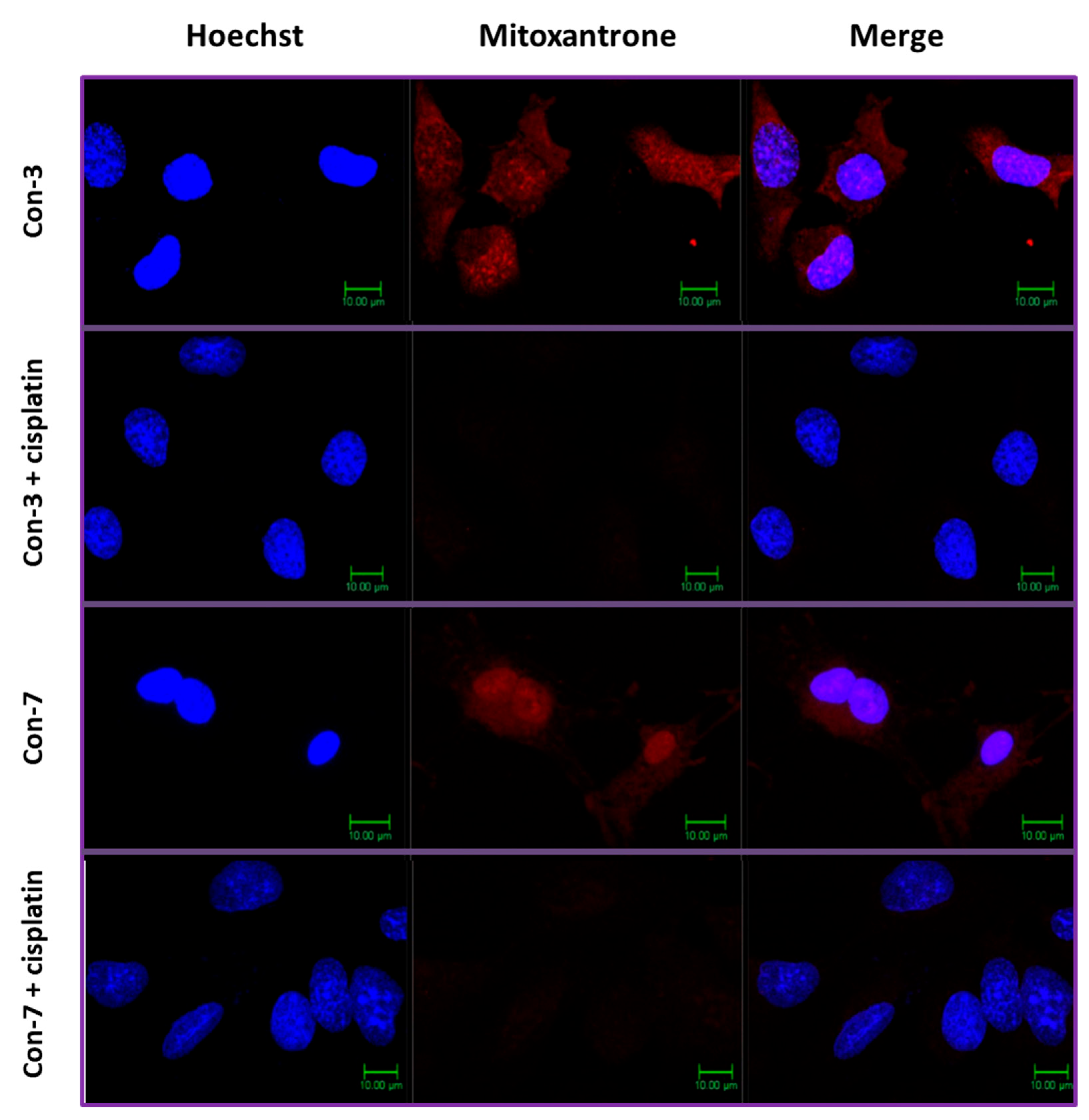 Molecules 29 04127 g010 Molecules 29 04127 g010