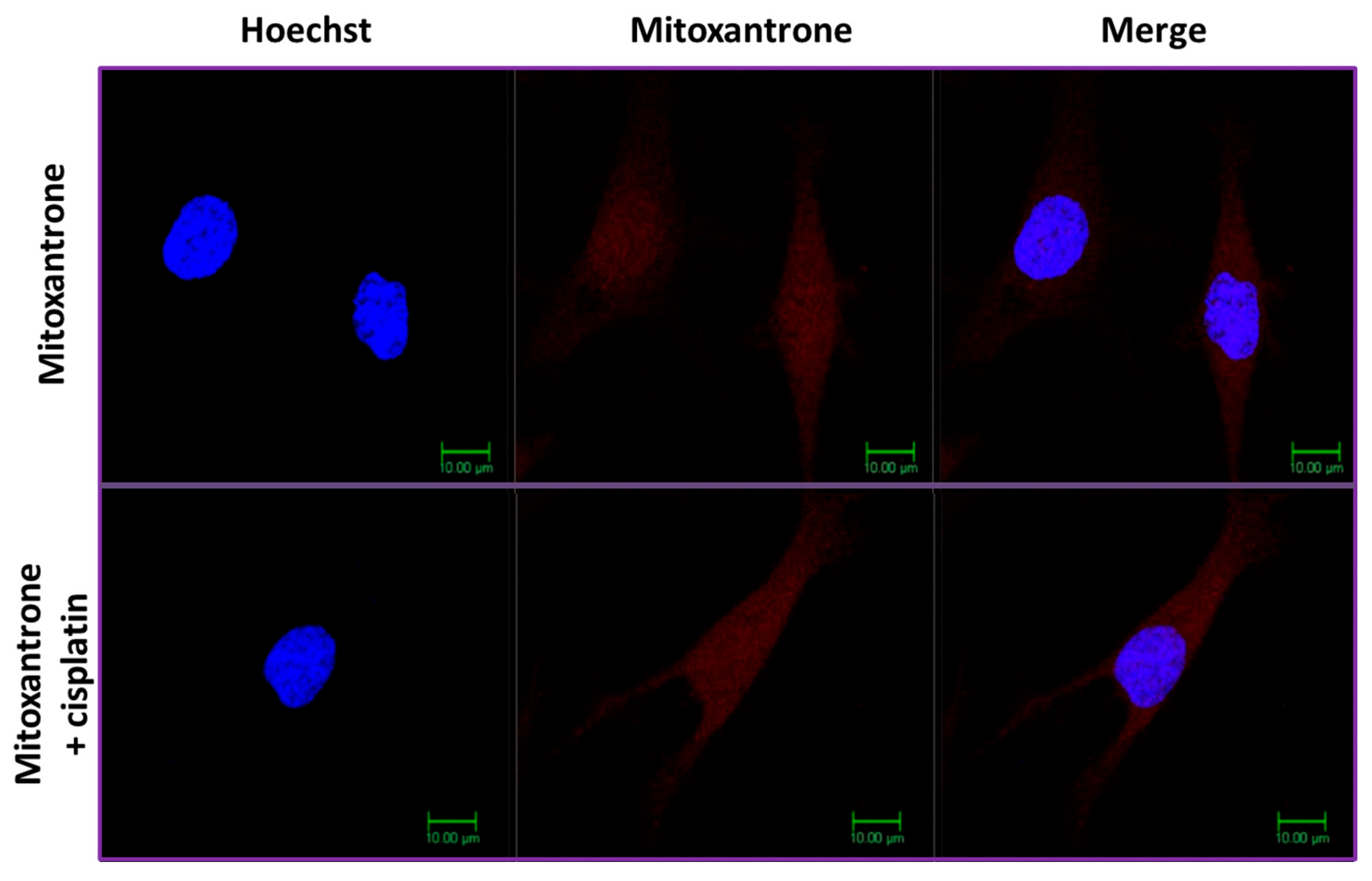 Molecules 29 04127 g011 Molecules 29 04127 g011