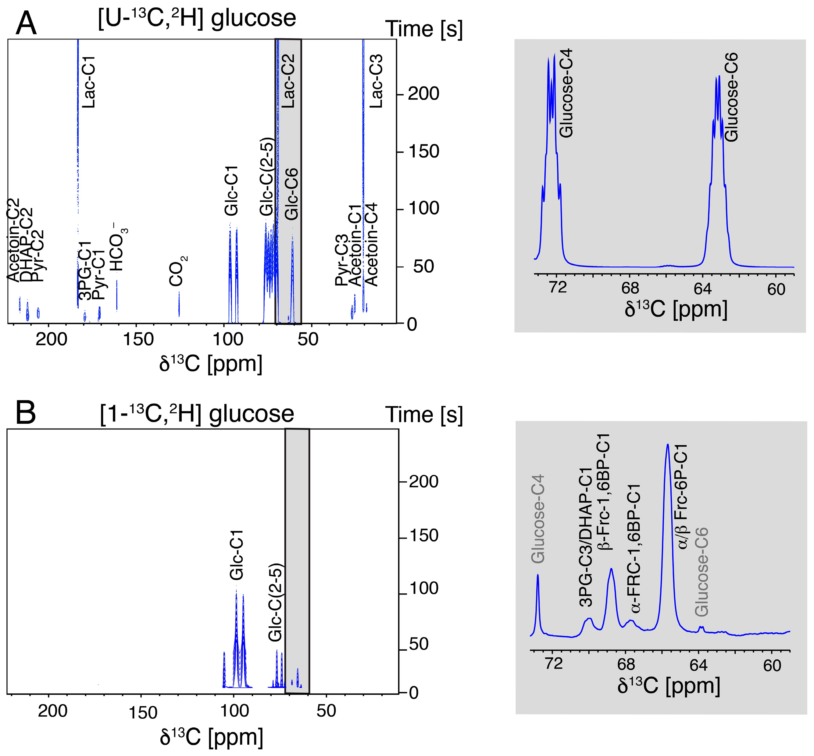Molecules 29 04133 g002