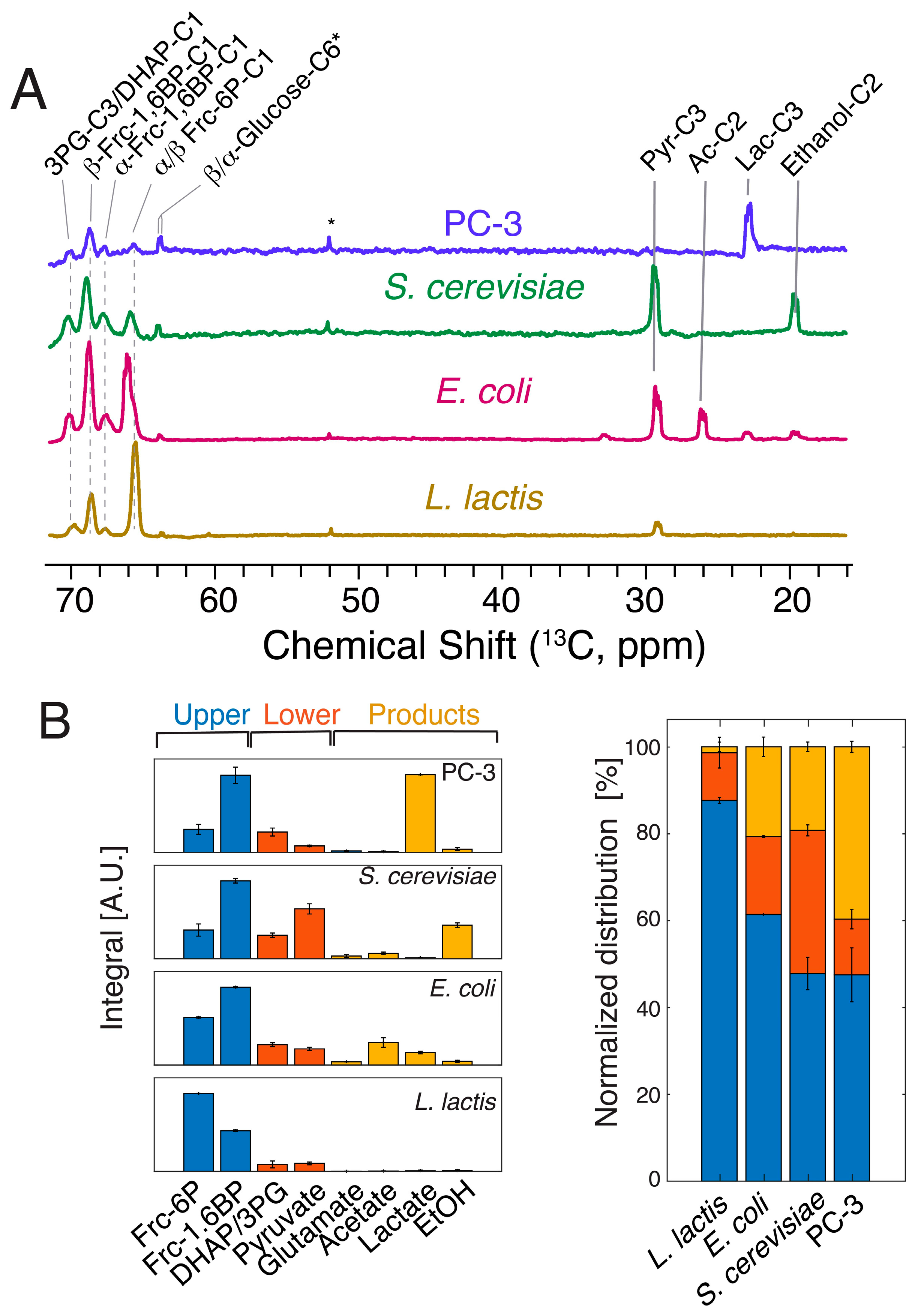 Molecules 29 04133 g003