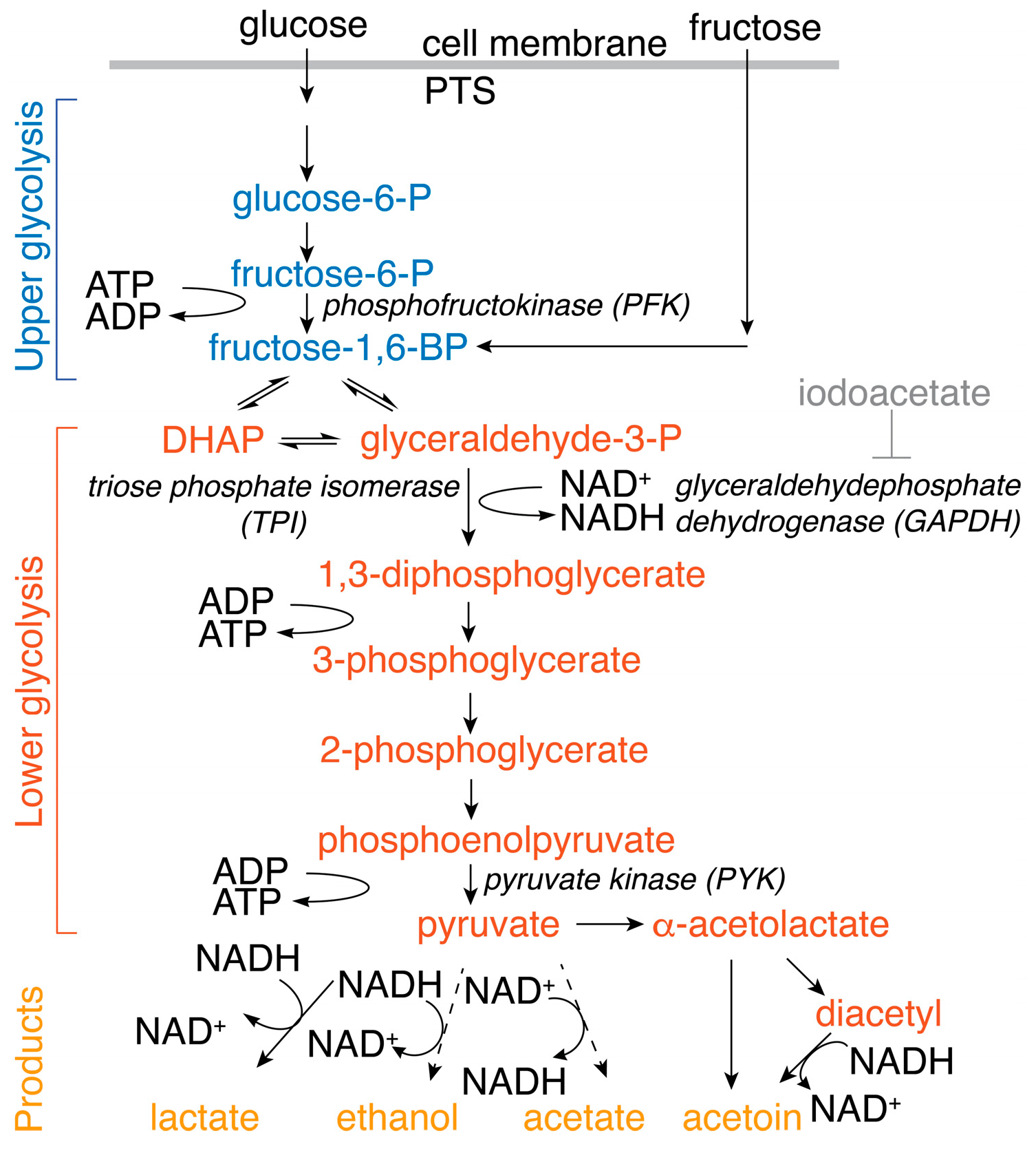 Molecules 29 04133 sch001
