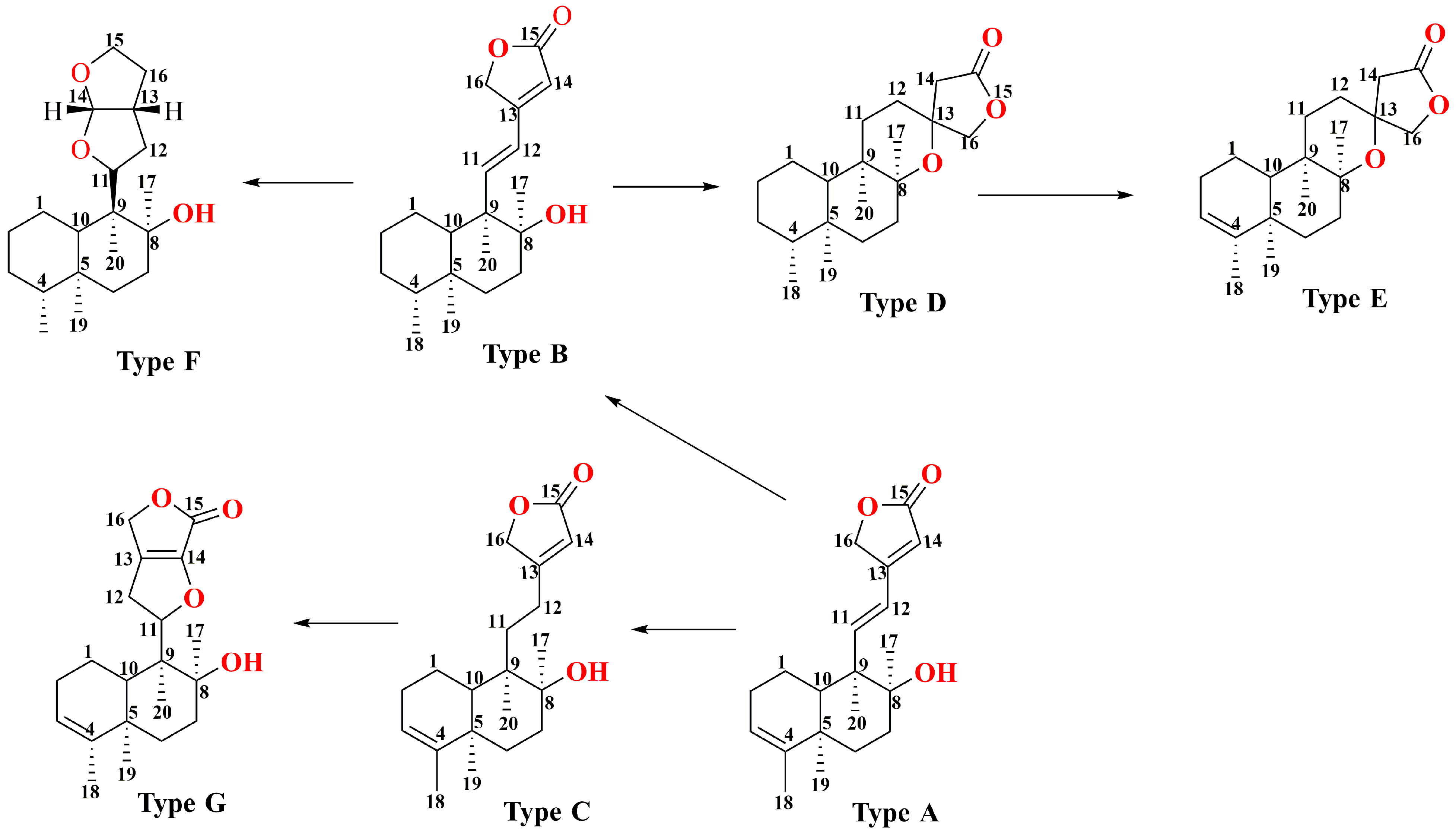 Molecules 29 04134 g004