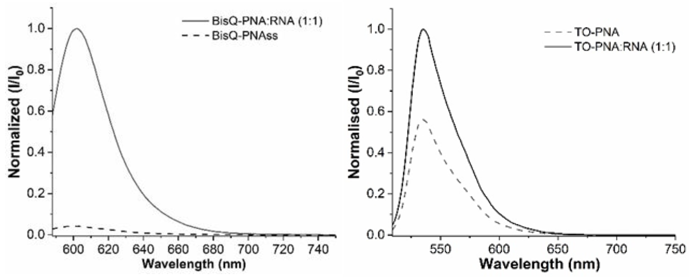 Molecules 29 04136 g001