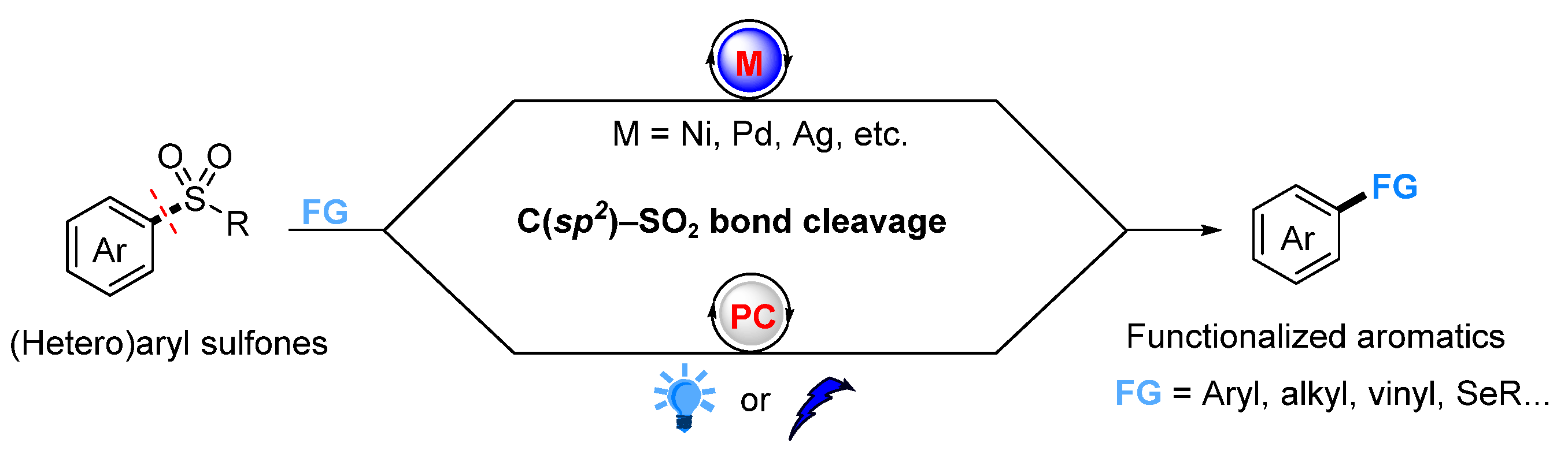 Molecules 29 04137 g001