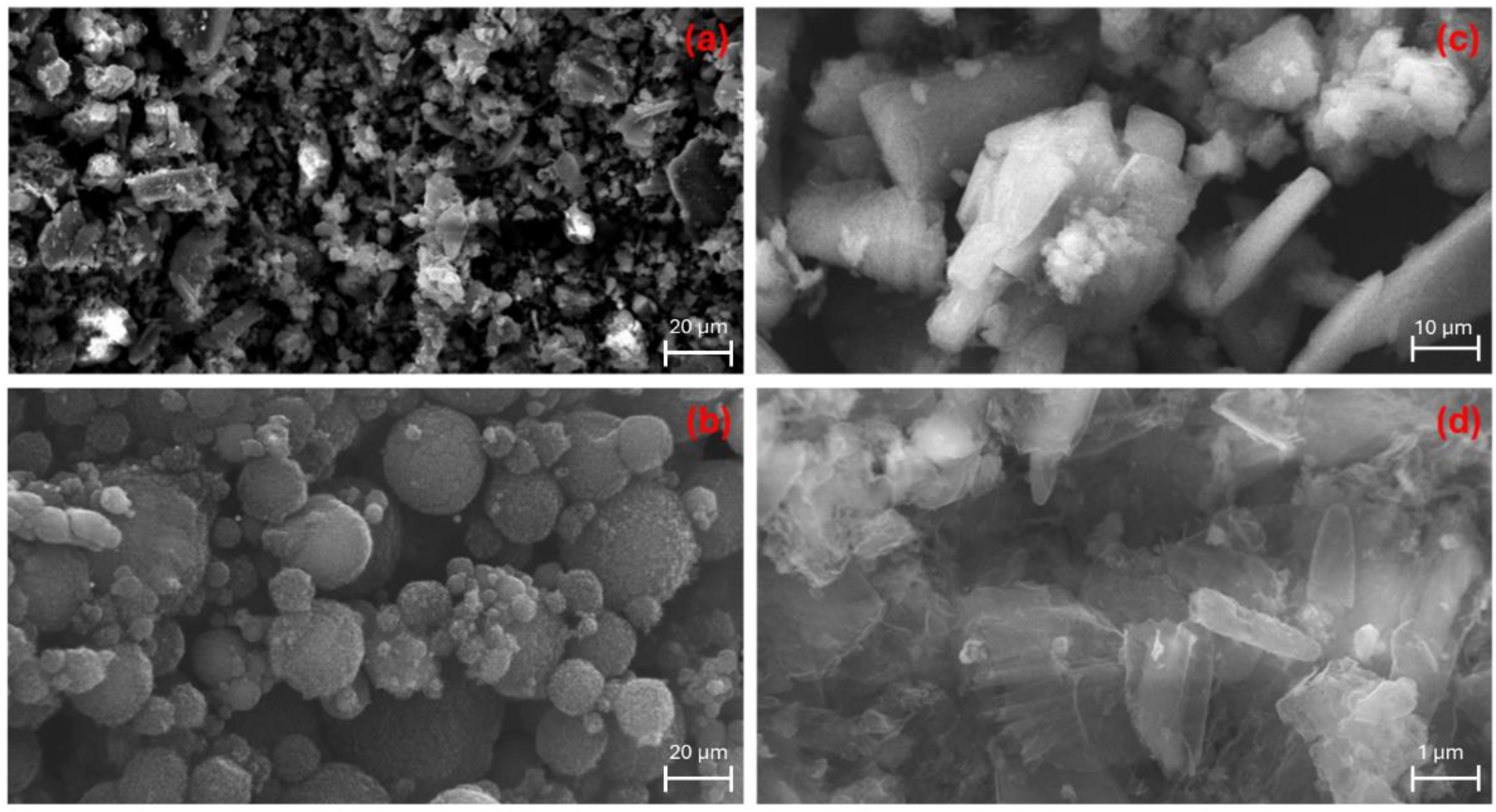 Molecules 29 04144 g002